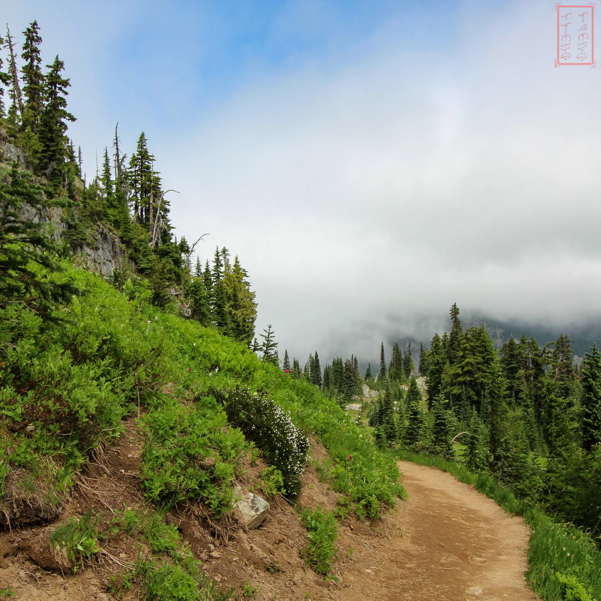 WA: Naches Peak Loop