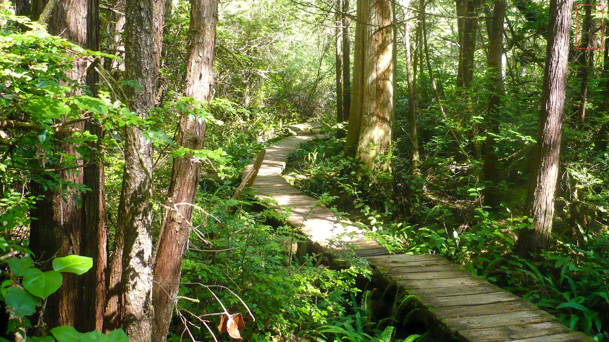 WA: Ozette Triangle