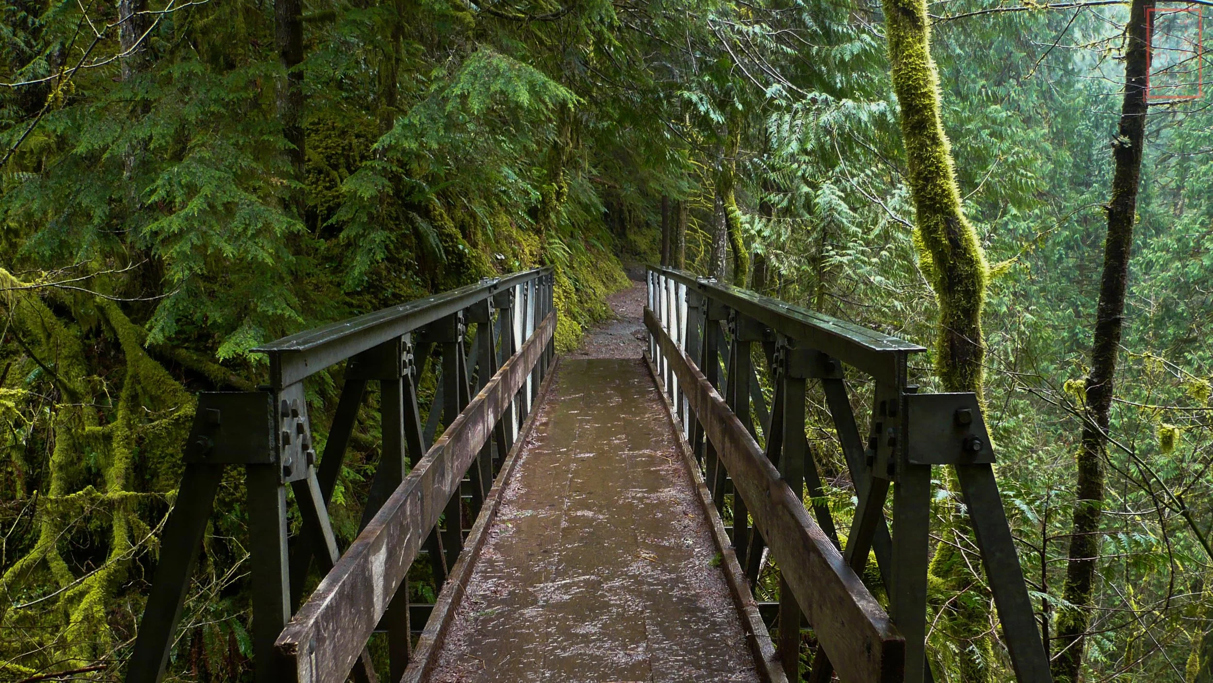 OR: Eagle Creek