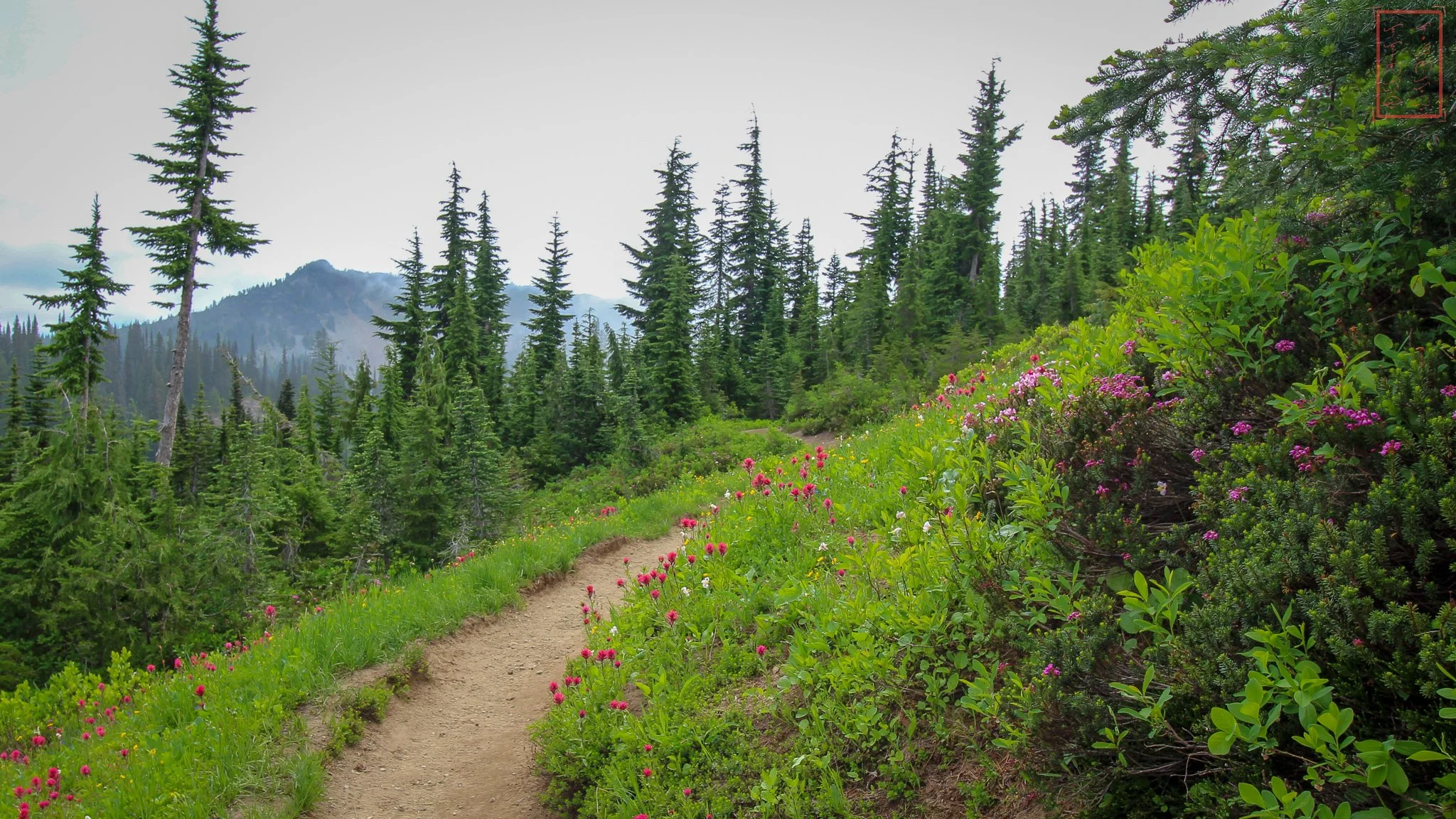WA: Naches Peak Loop