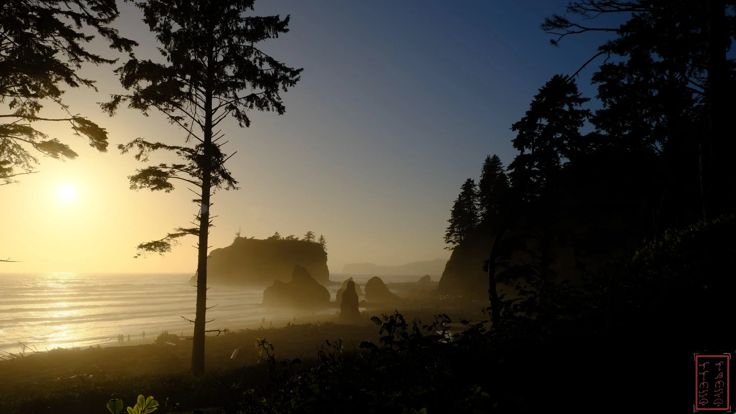 WA: Ruby Beach