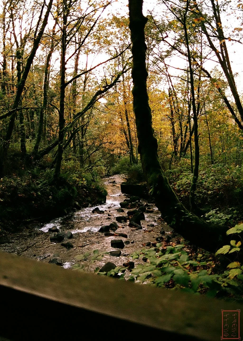 OR: Bridal Veil Falls