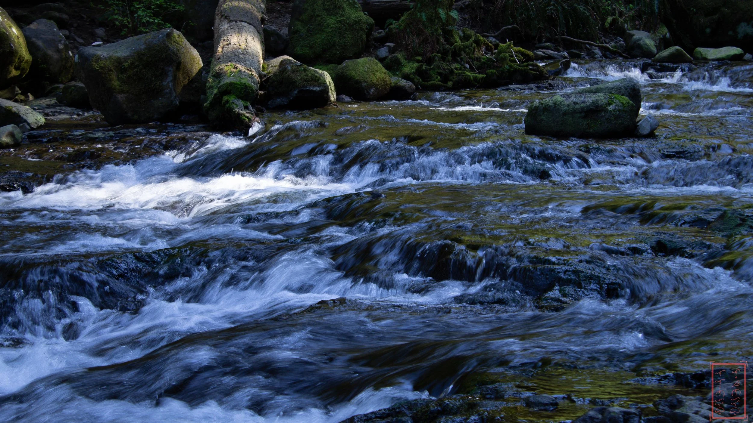 OR: Oneonta Gorge