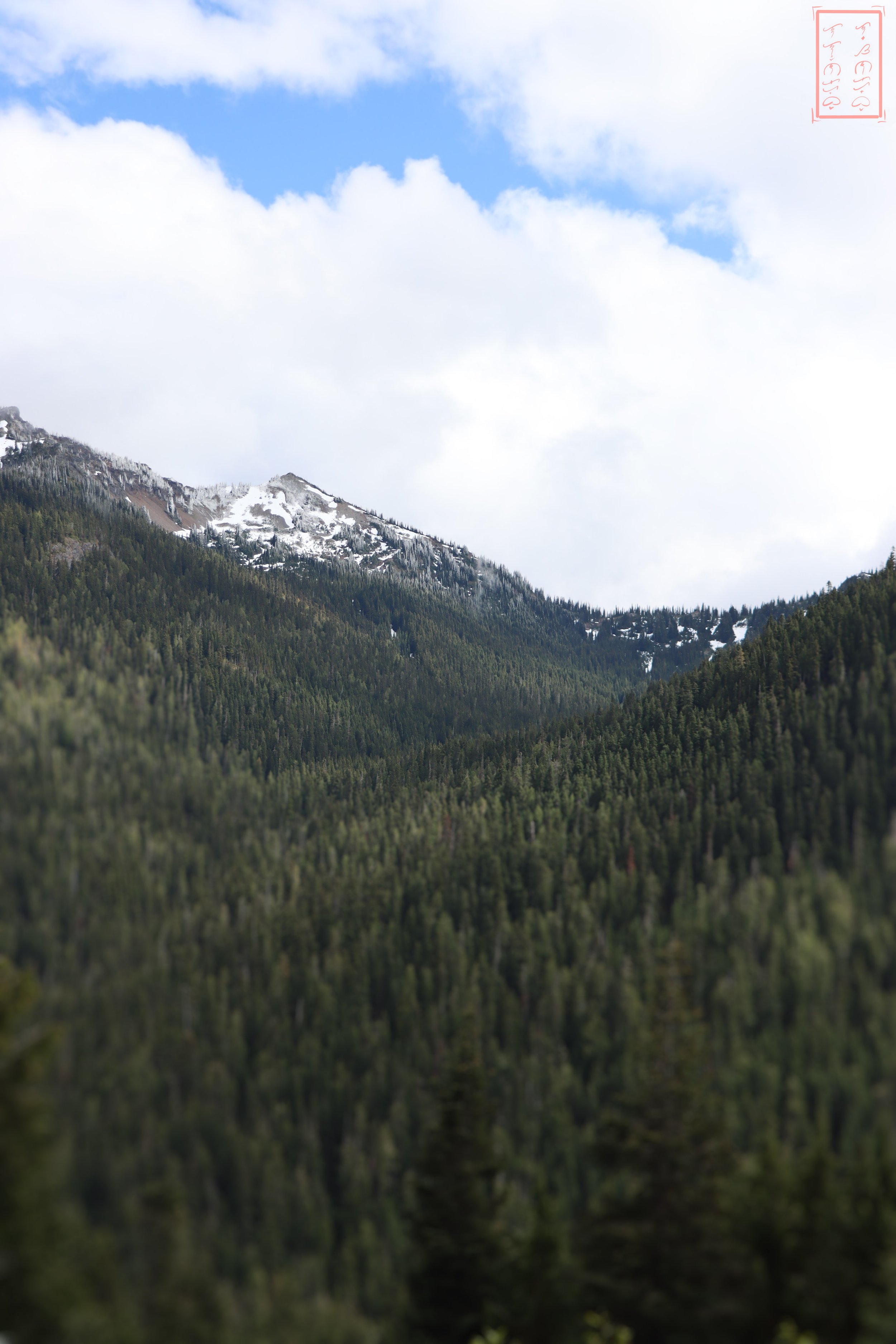 WA: State Route 410