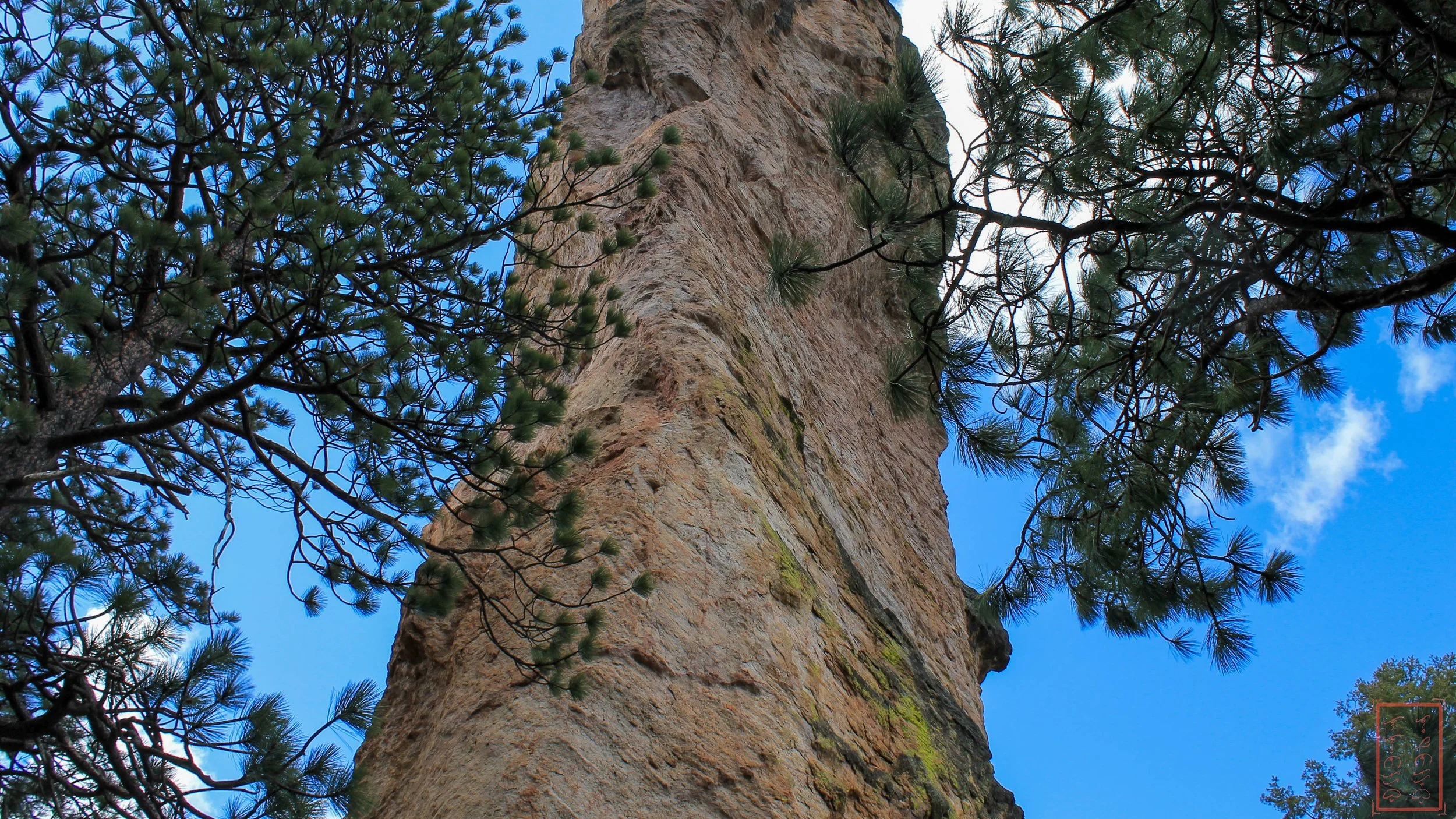 OR: Ochoco National Forest