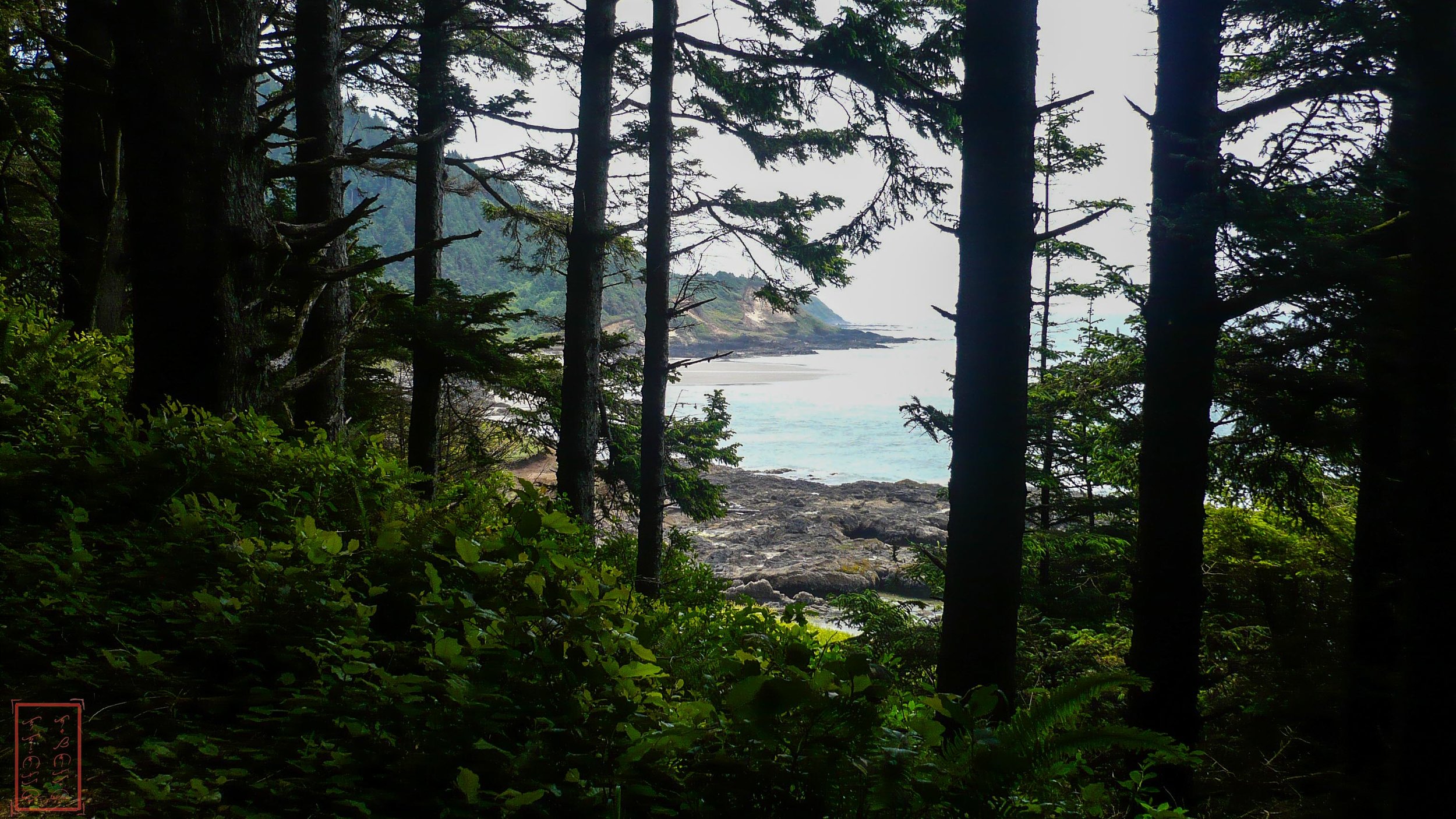 OR: Cape Perpetua