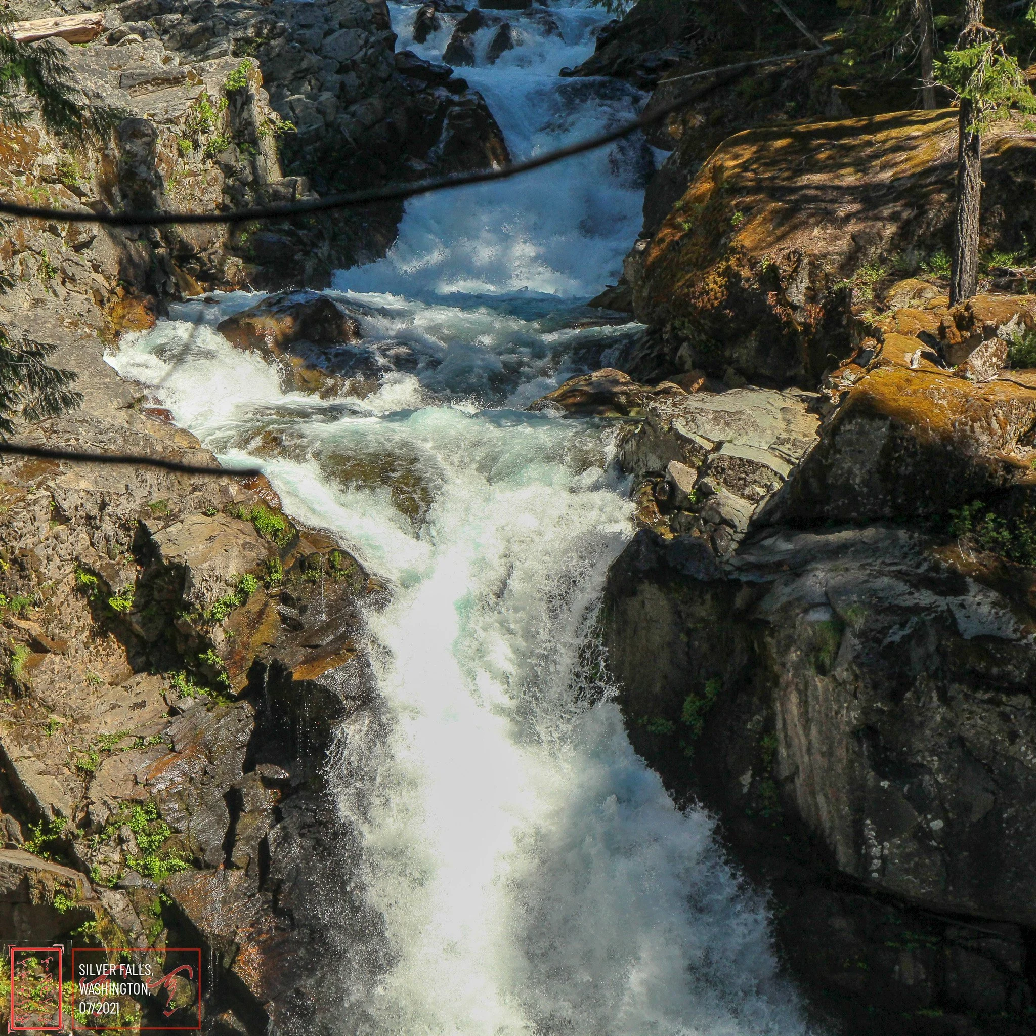 WA: Silver Falls