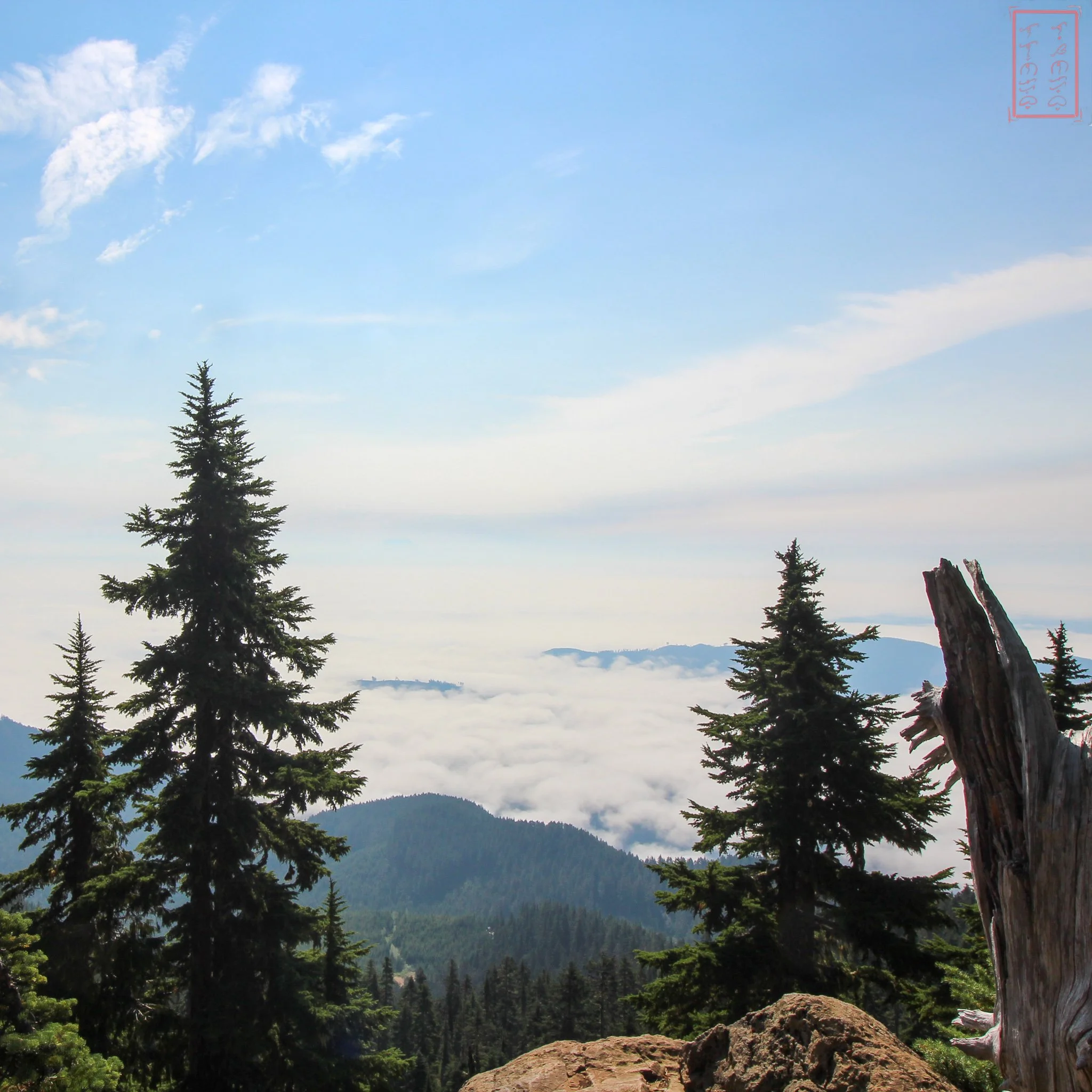 WA: Mount Ellinor