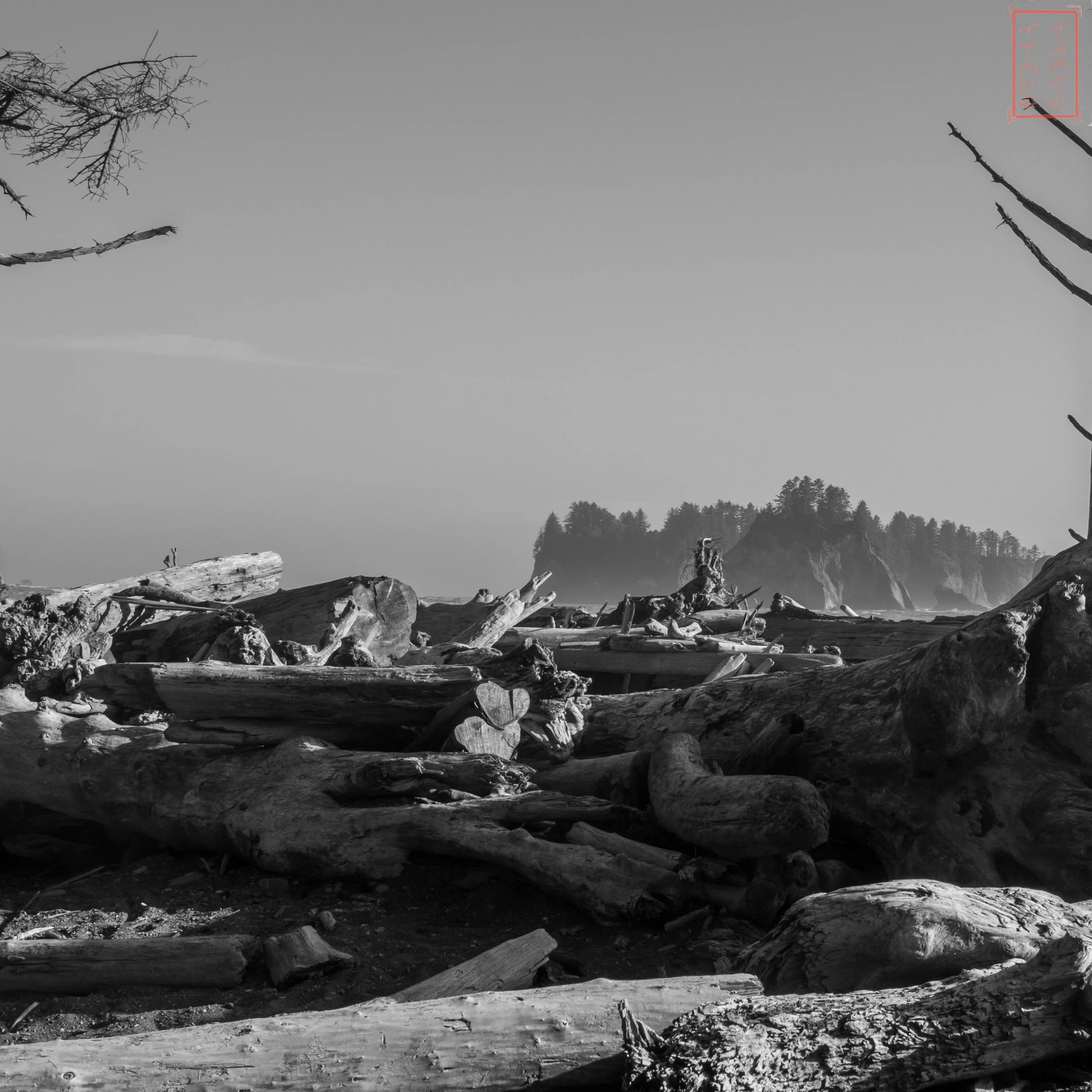 26_0619_Rialto-BW-1X1-1-2.jpg