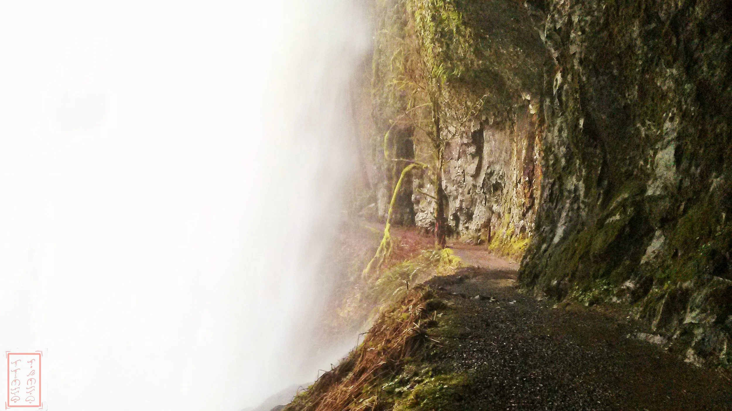 OR: Silver Falls