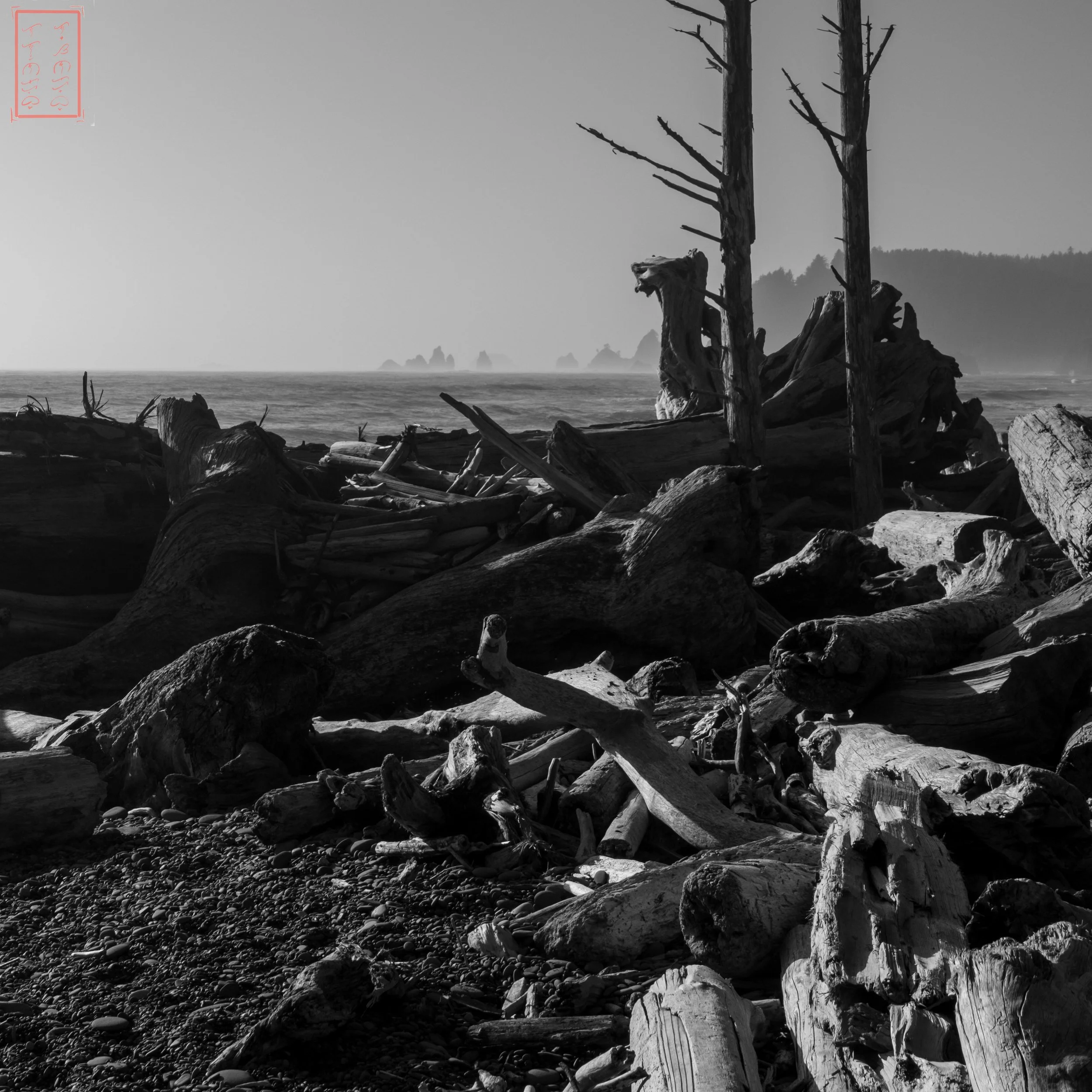 26_0619_Rialto-BW-1X1-1-3.jpg