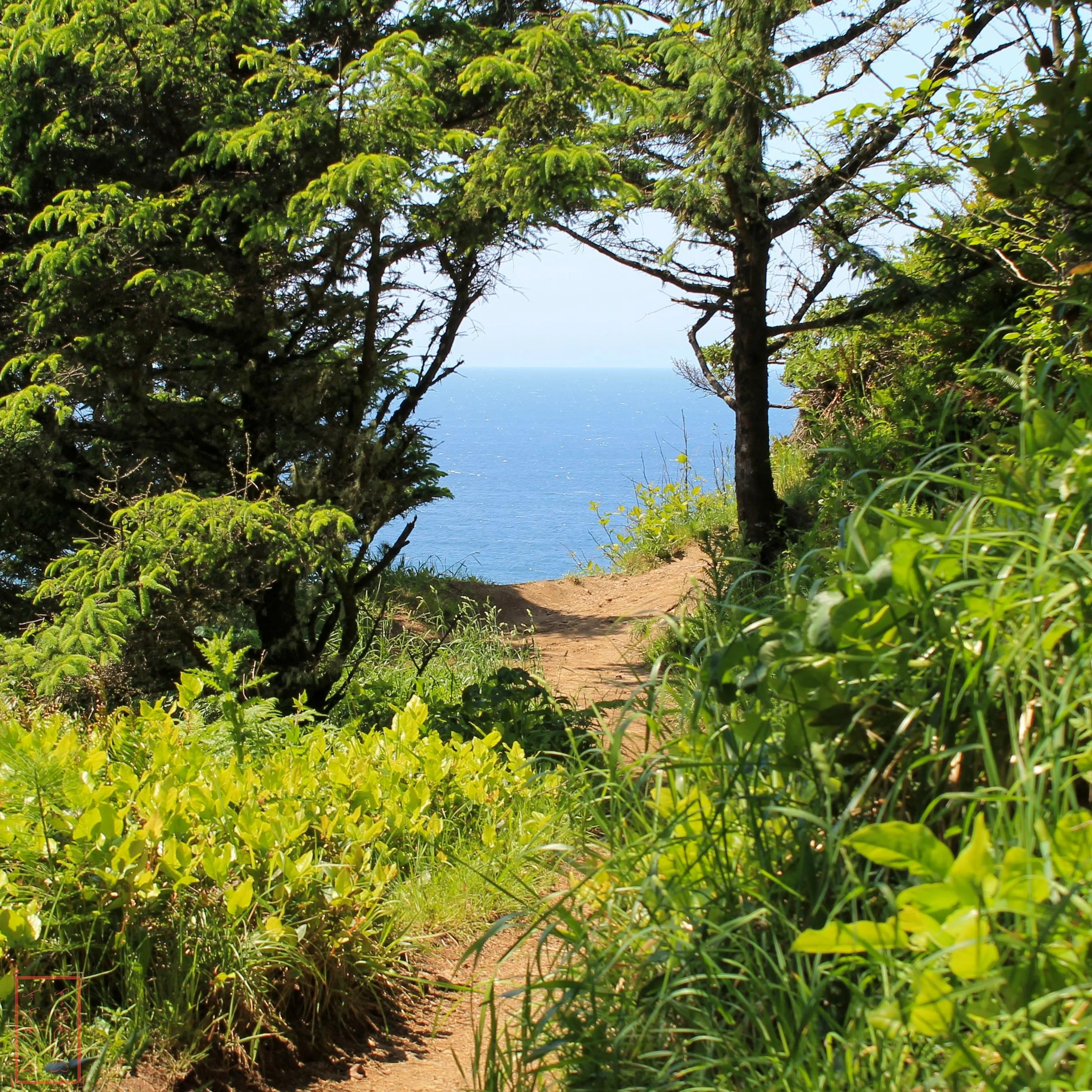 OR: Ecola State Park