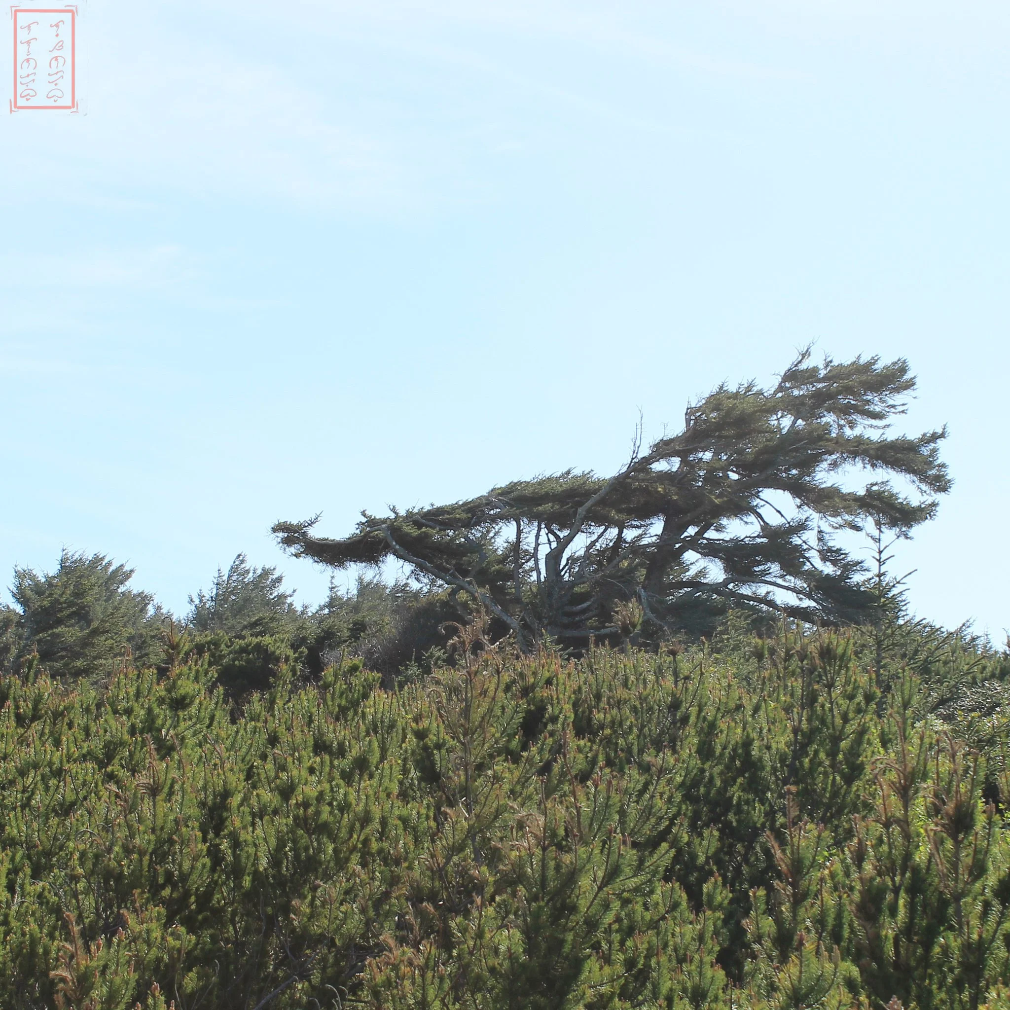 OR: Sutton Creek