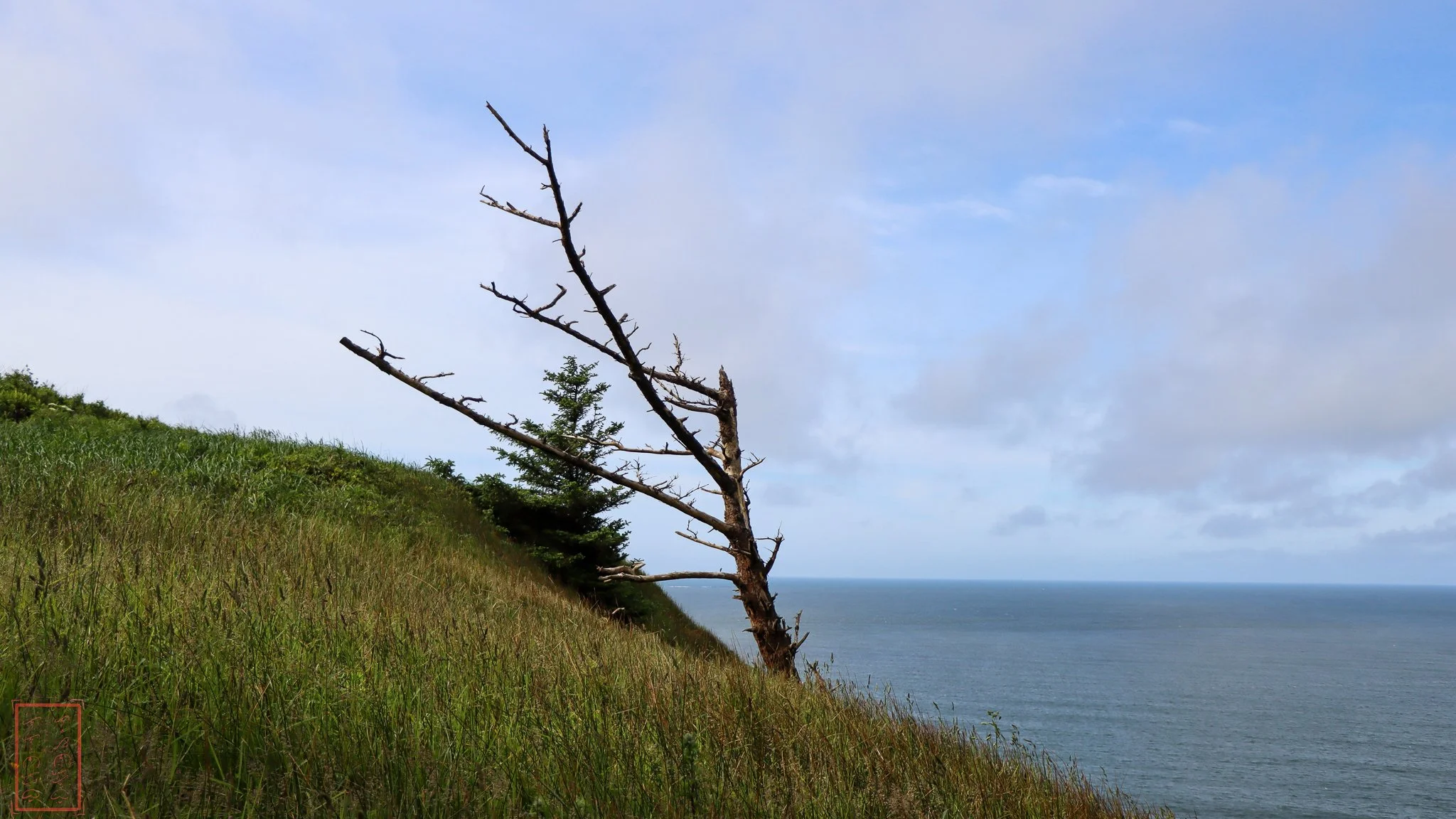 WA: Cape Disappointment