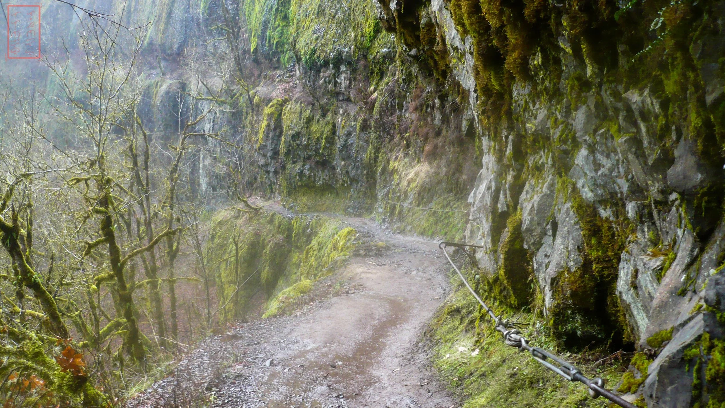 OR: Eagle Creek