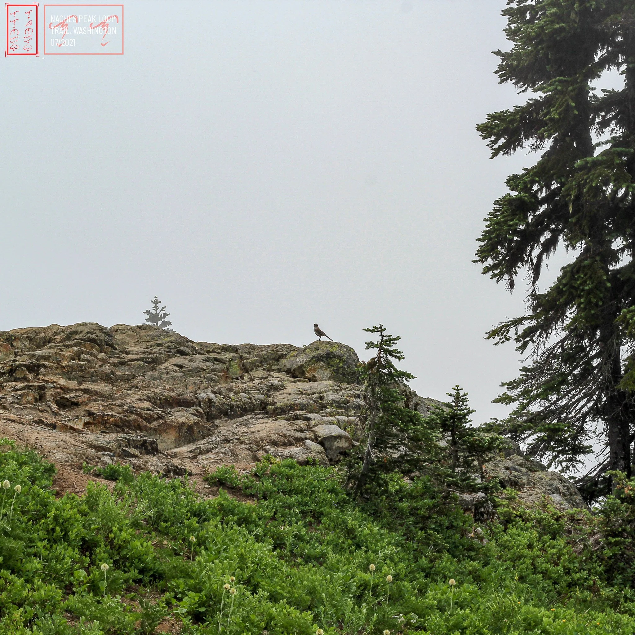 WA: Naches Peak Loop