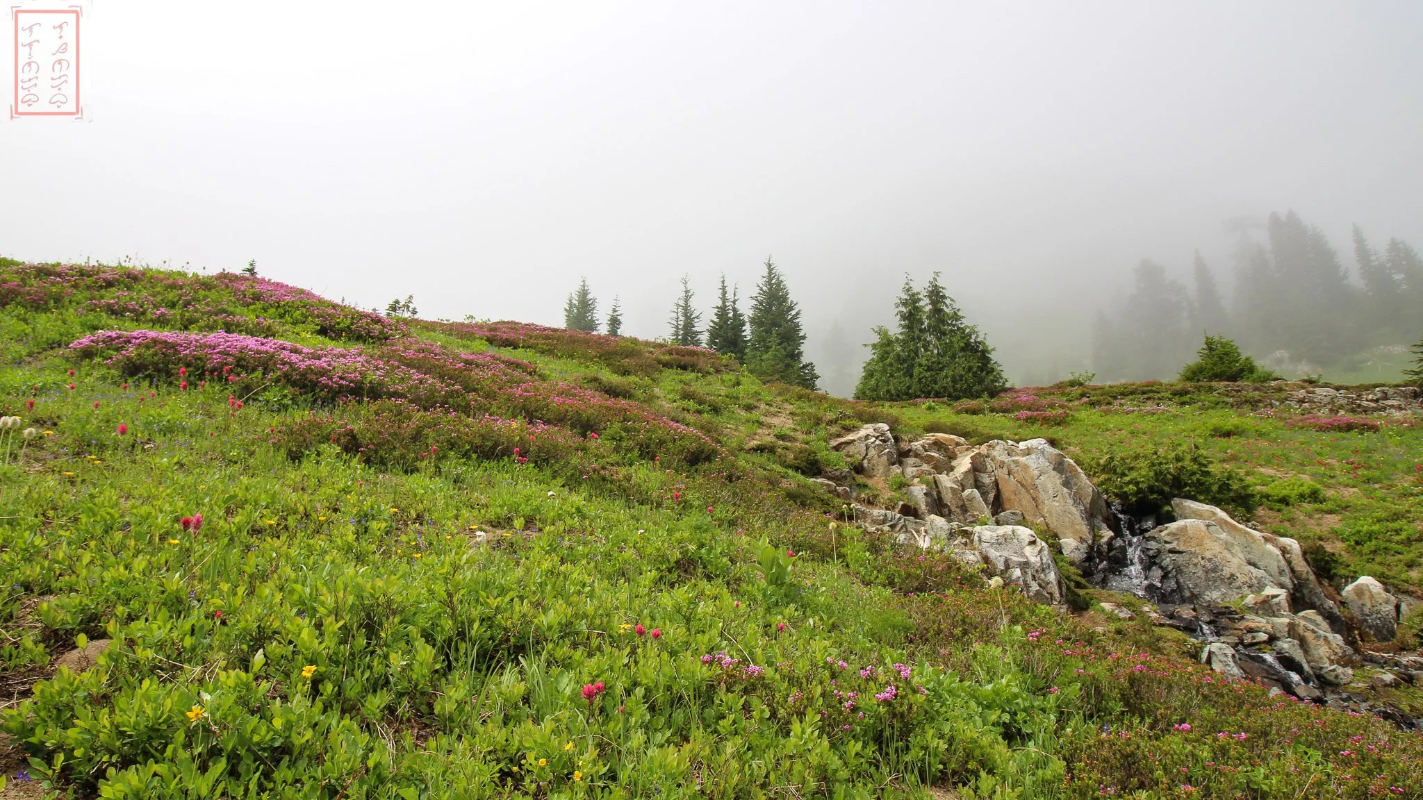 WA: Naches Peak Loop