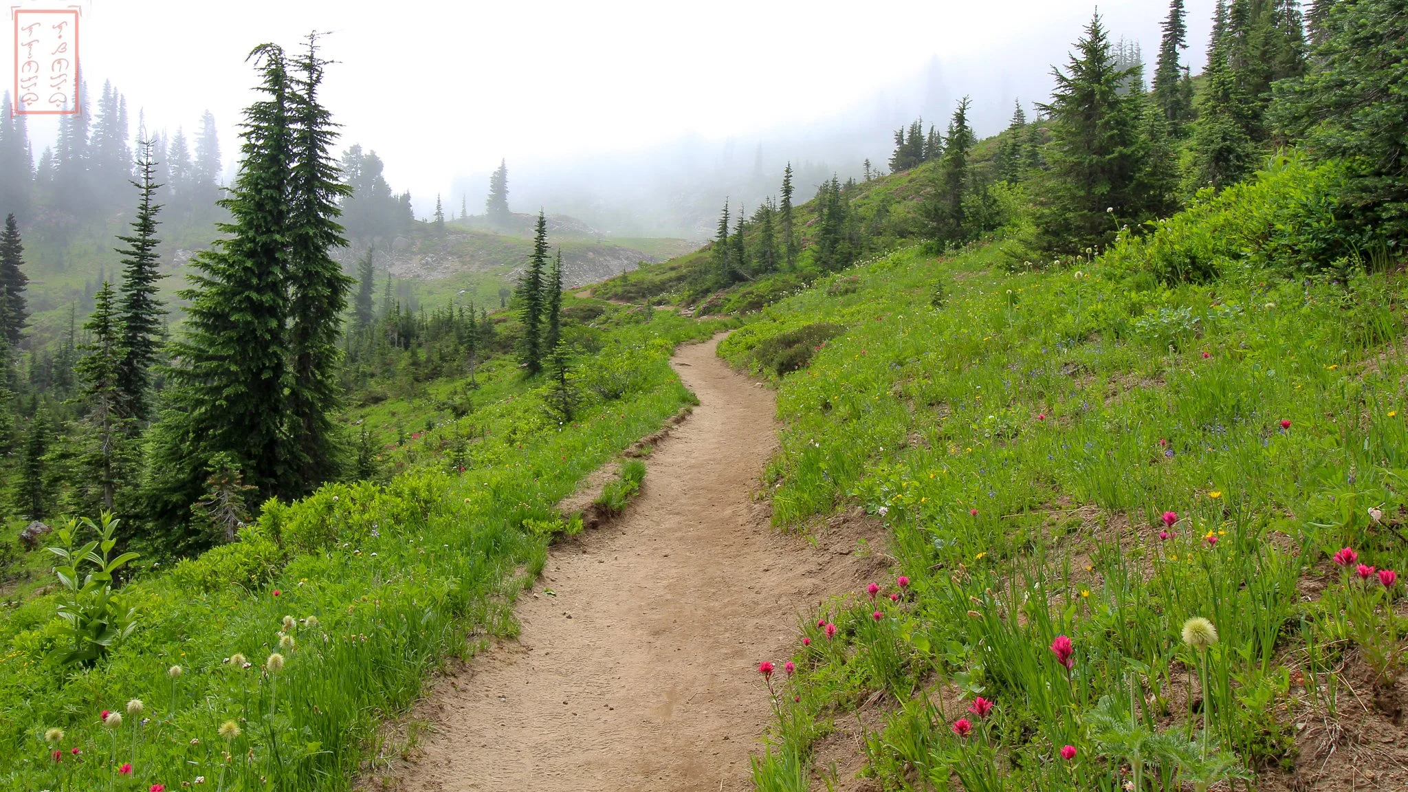 WA: Naches Peak Loop
