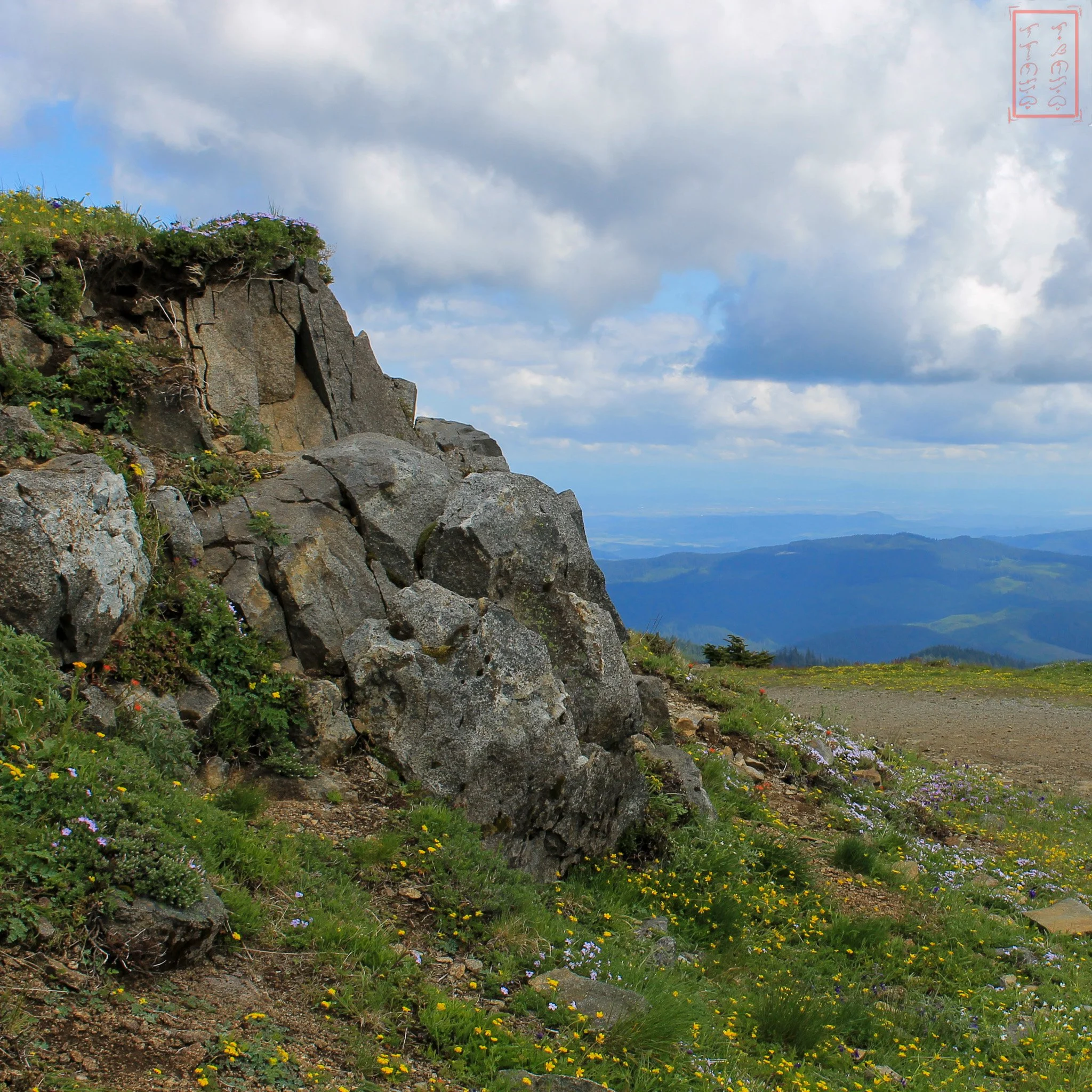 OR: Mary's Peak