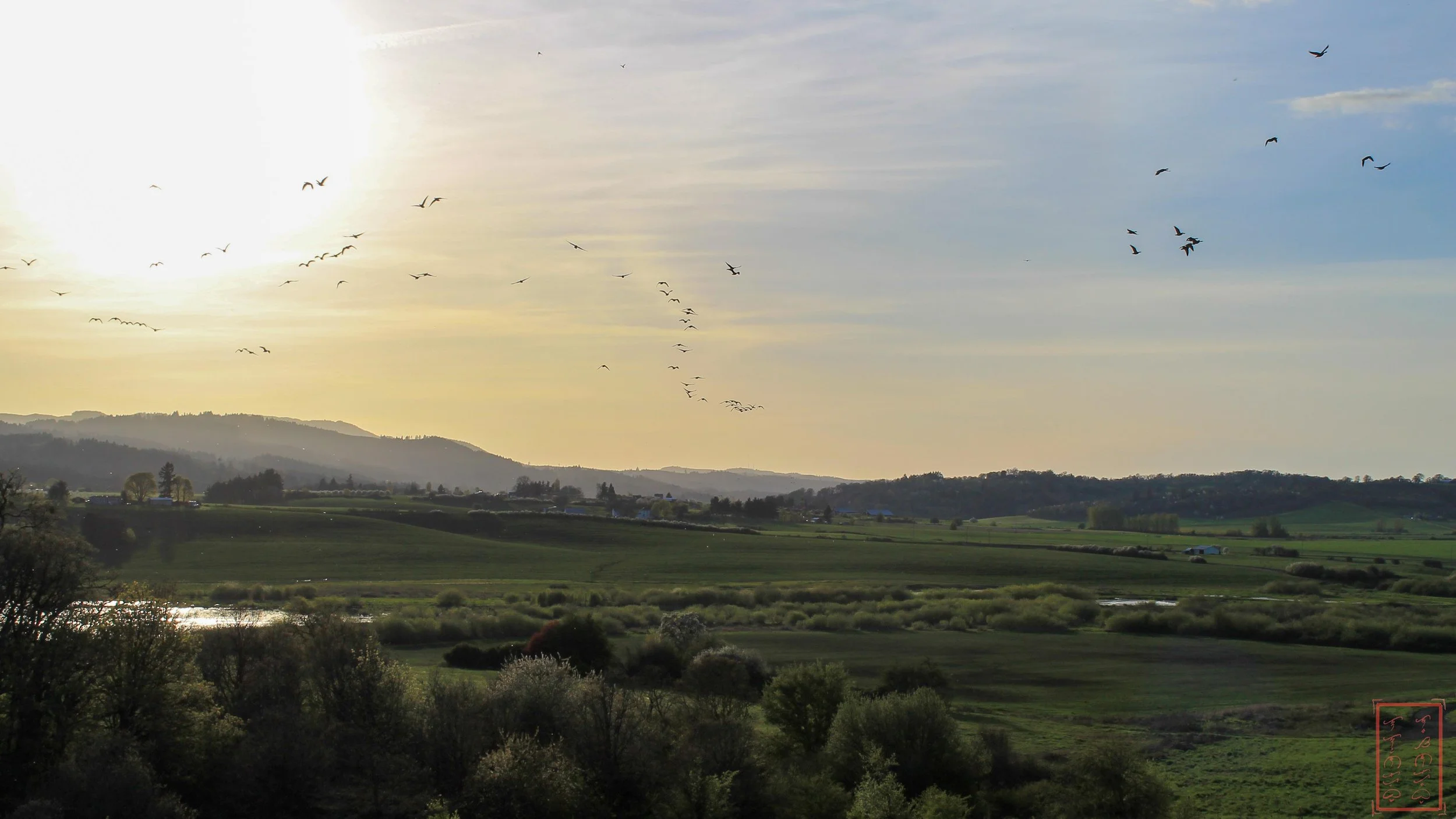 OR: Baskett Slough