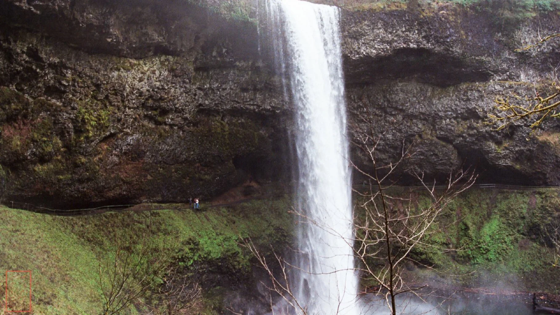 OR: Silver Falls