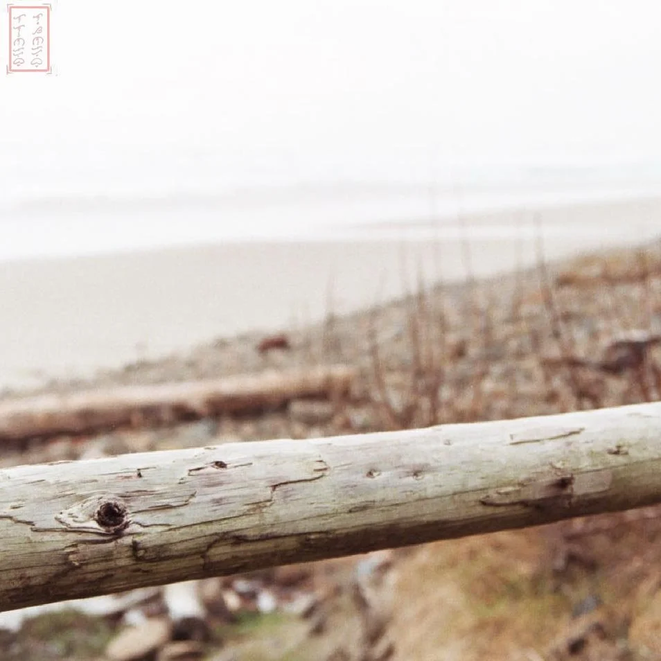 OR: Cape Lookout