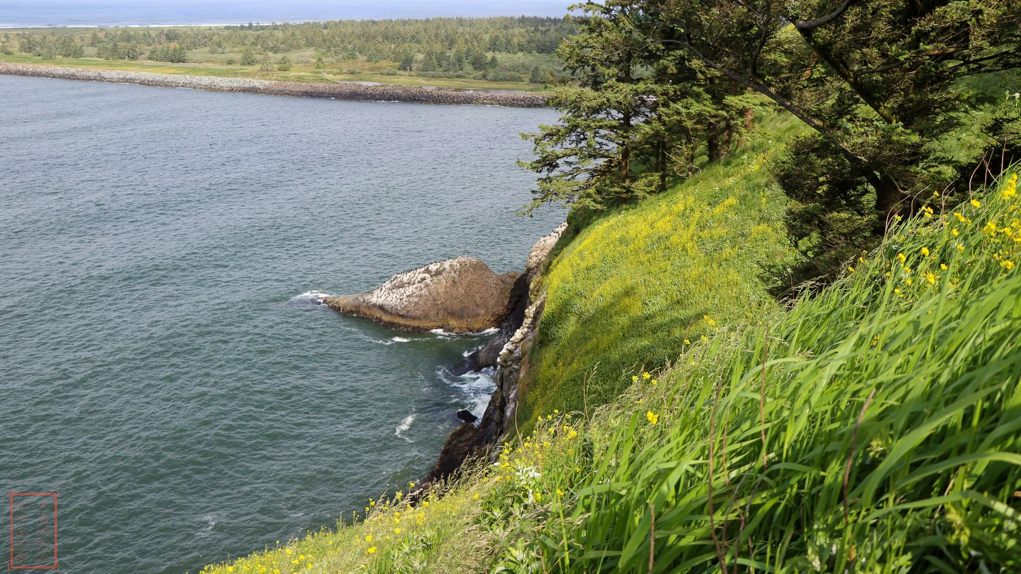 WA: Cape Disappointment