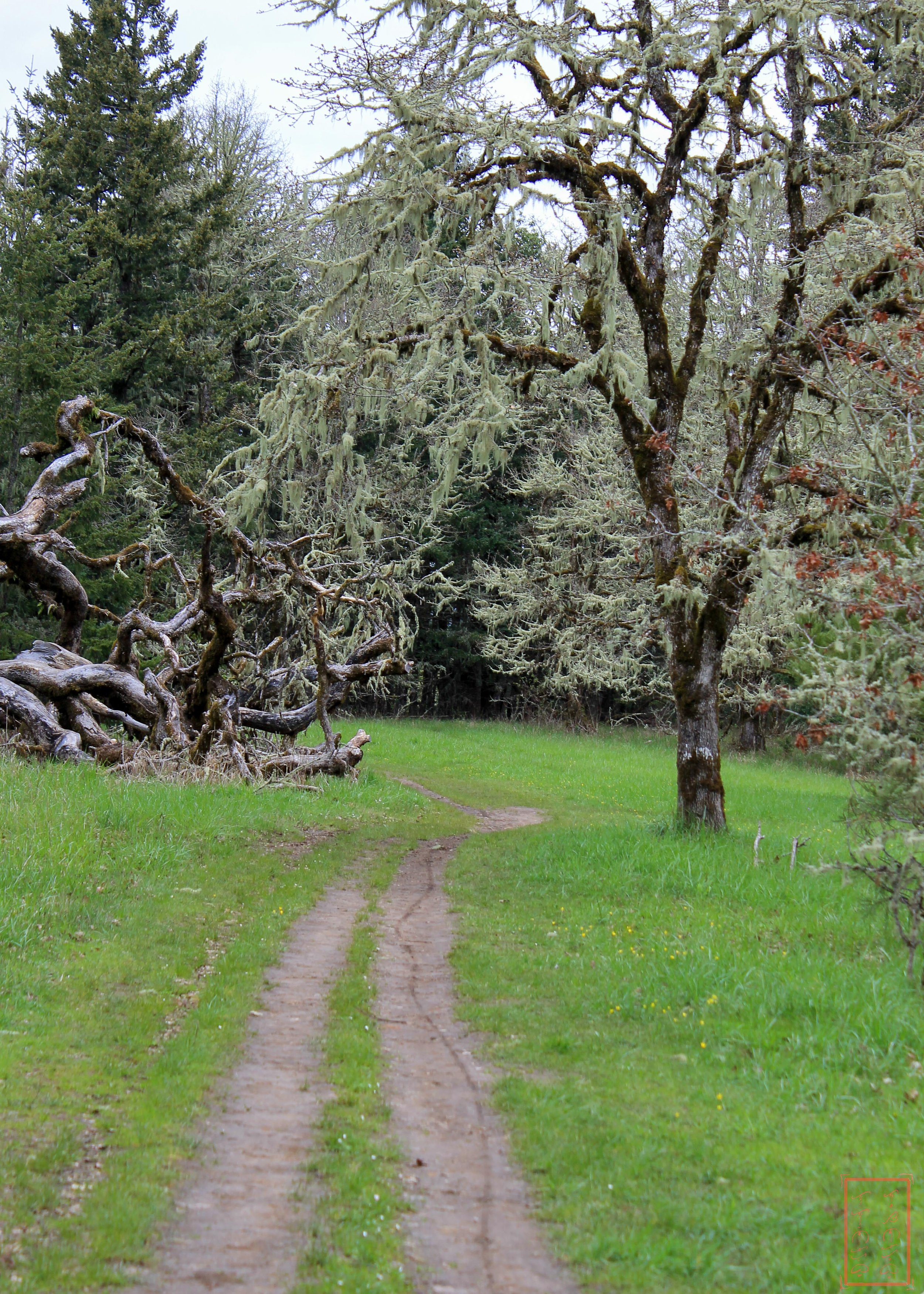 OR: Chip Ross Park and Dimple Hill