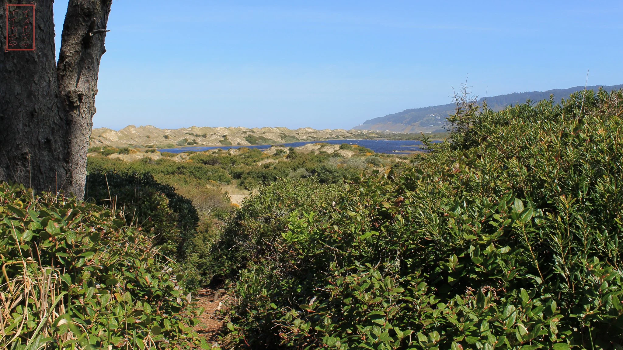 OR: Sutton Creek
