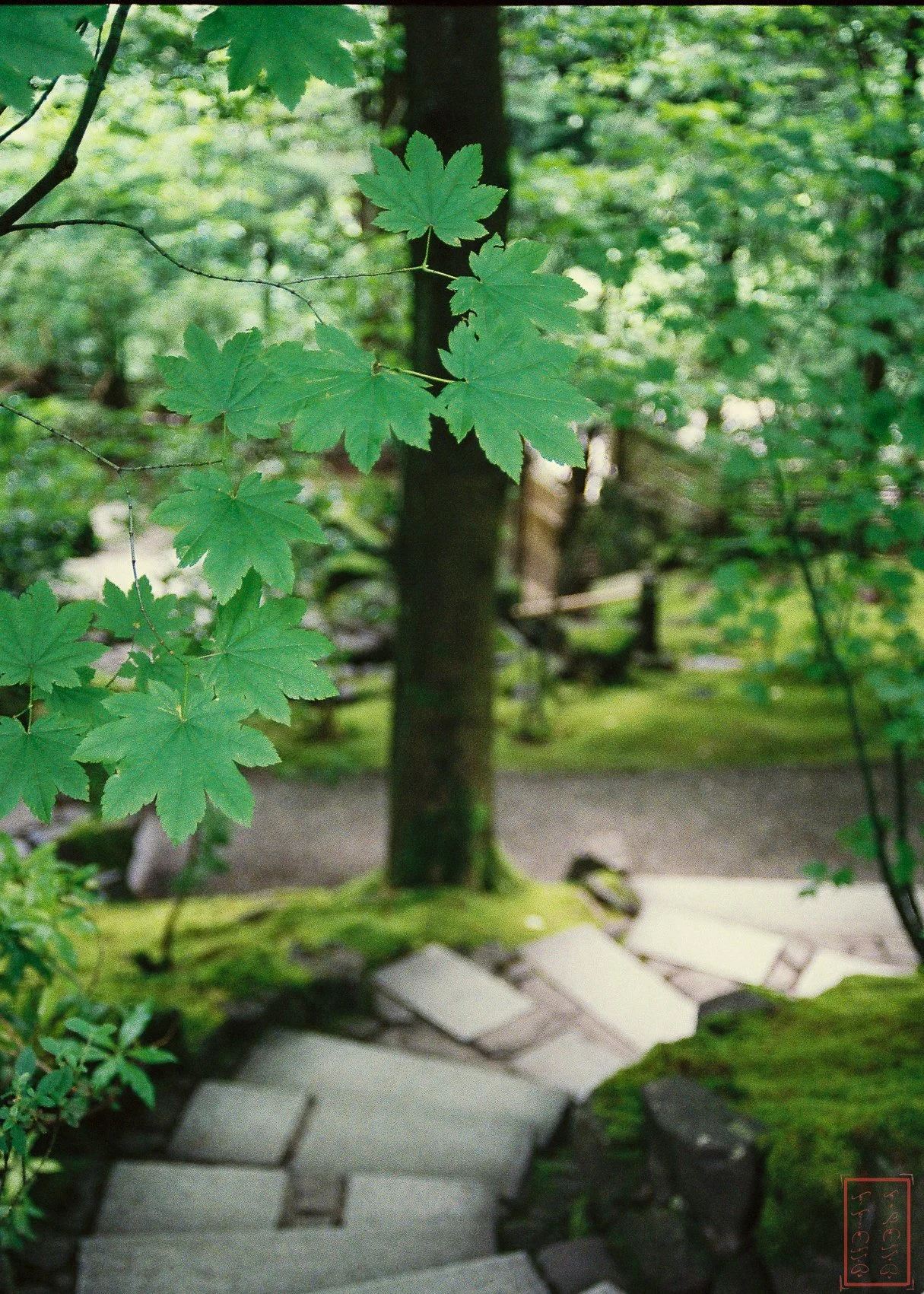 0_Portland_5x7-4.jpg