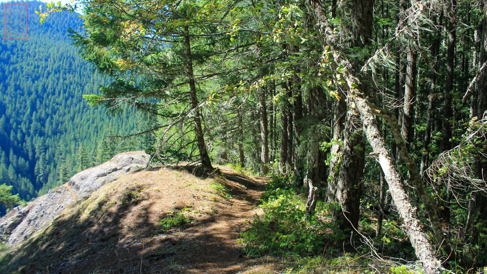 OR: Salmon-Huckleberry Wilderness