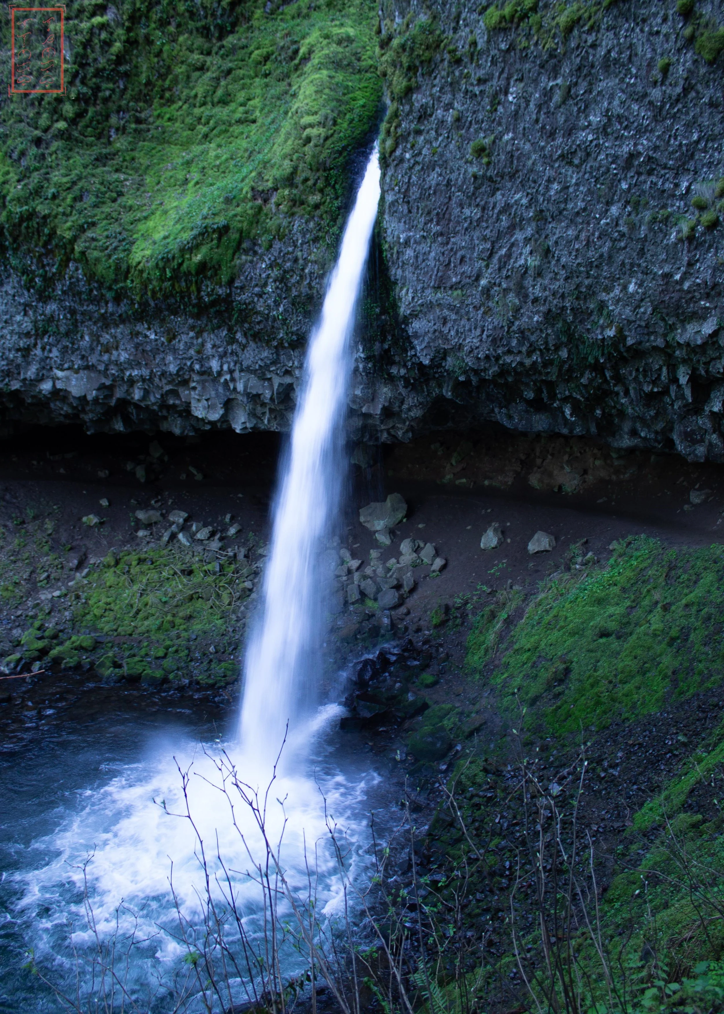 OR: Oneonta Gorge