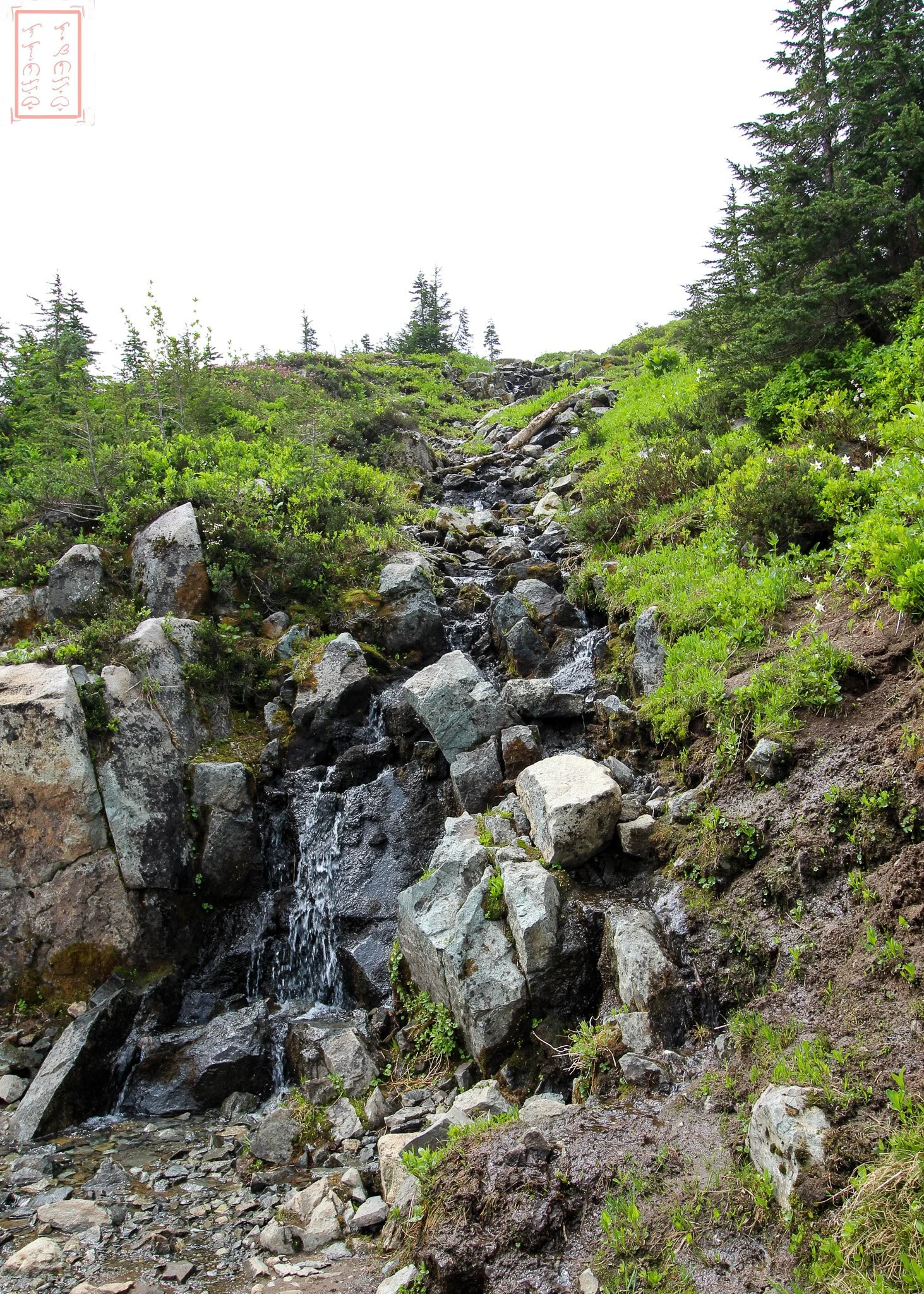 WA: Naches Peak Loop