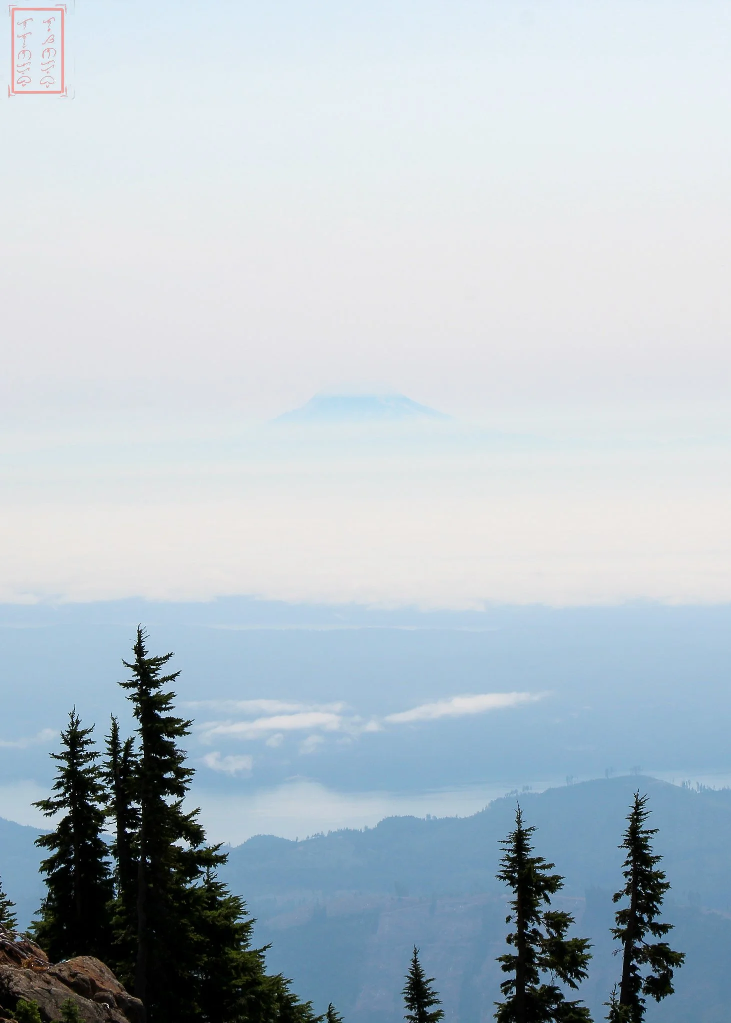 WA: Mount Ellinor