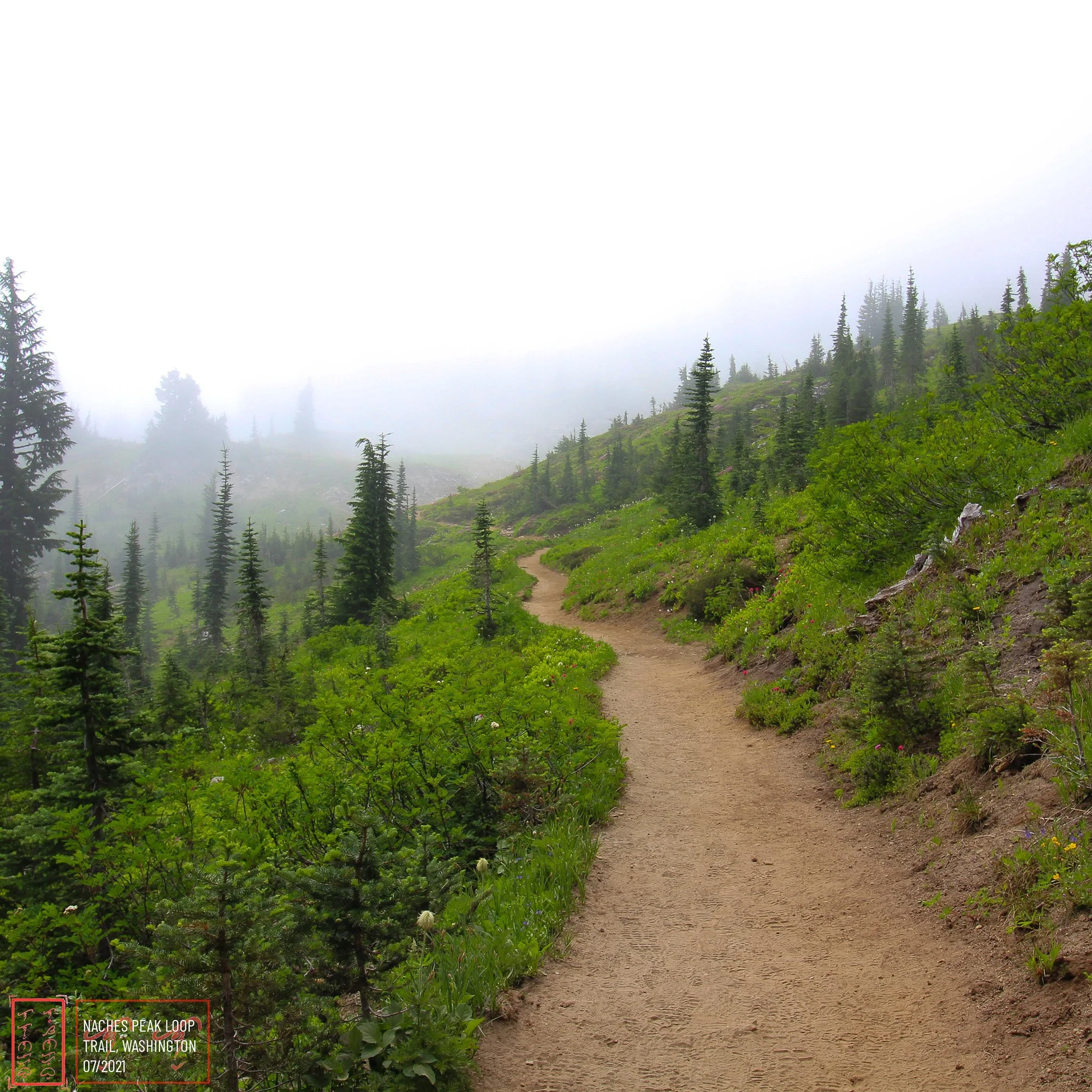 WA: Naches Peak Loop