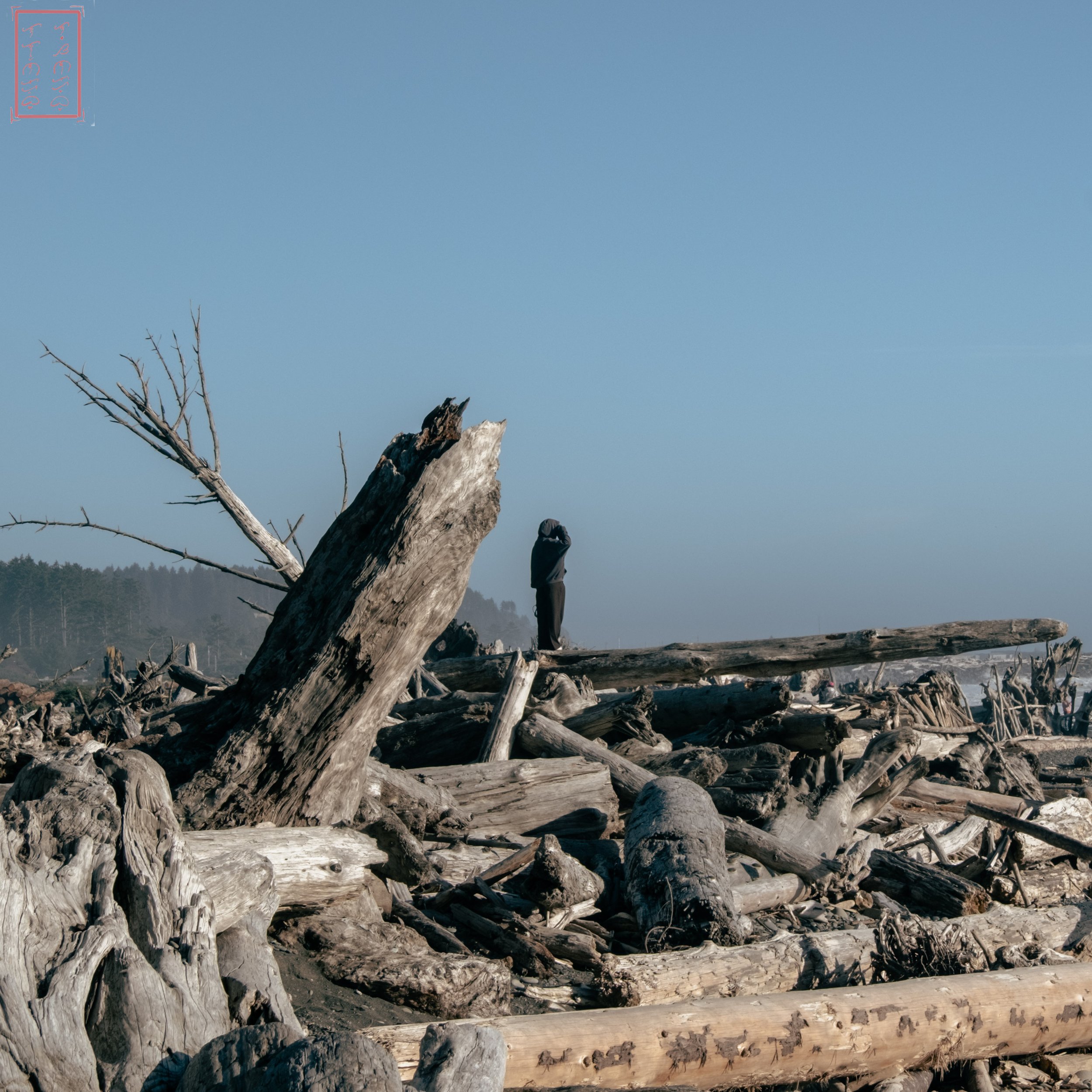 WA: Rialto Beach
