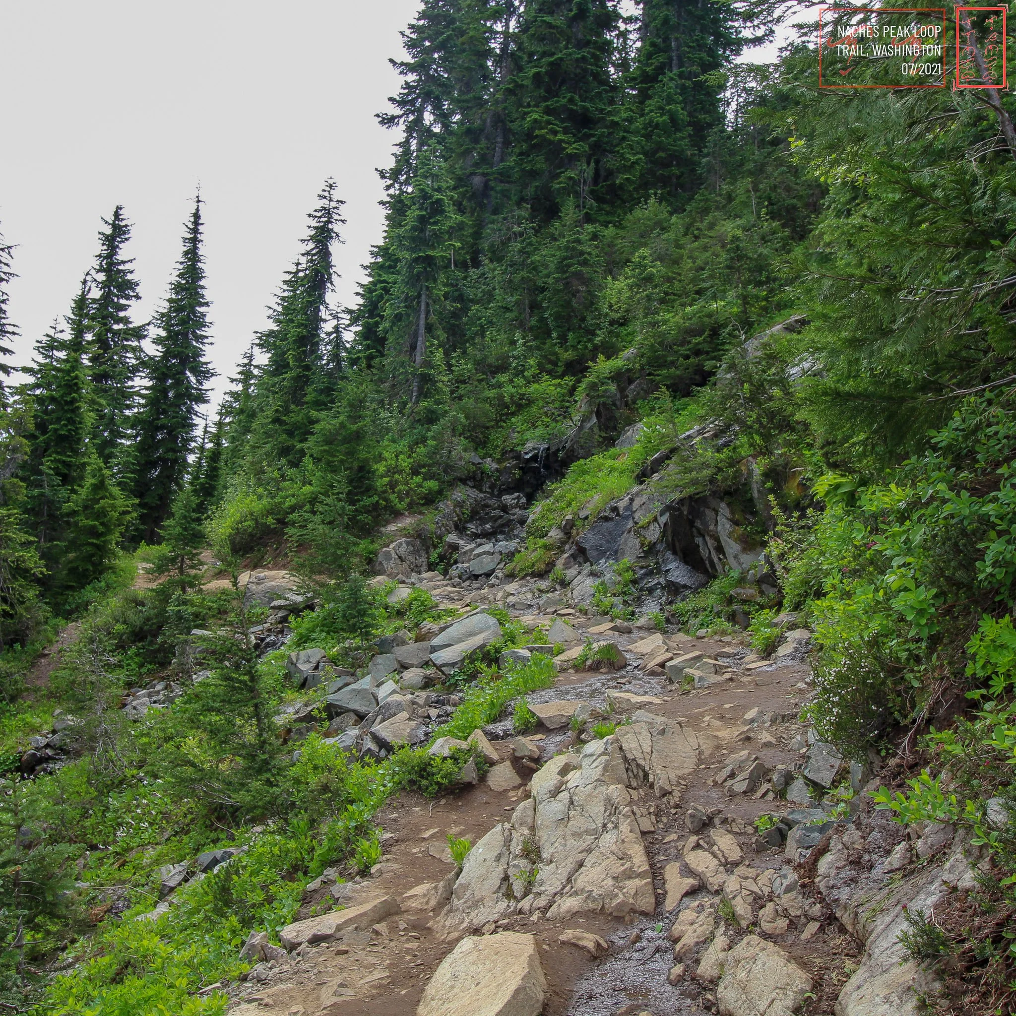 WA: Naches Peak Loop