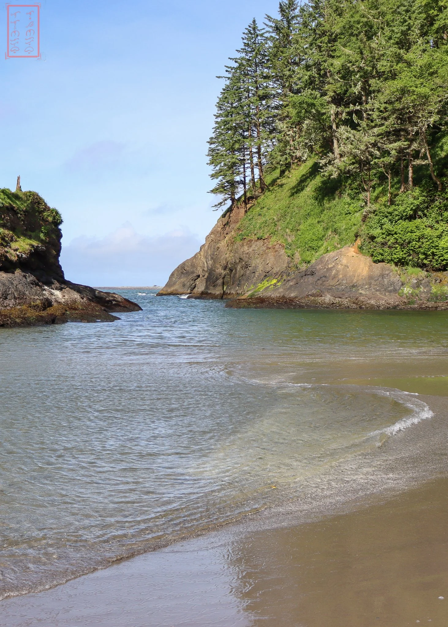 WA: Cape Disappointment