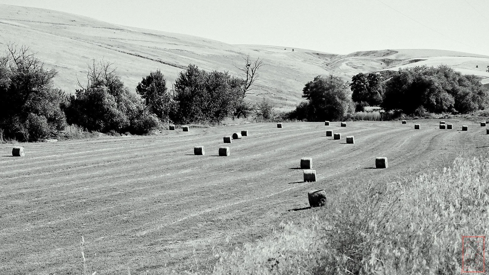 WA: Garfield County