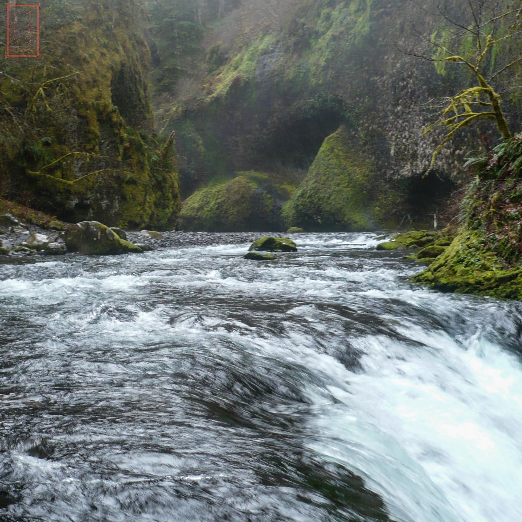 OR: Eagle Creek
