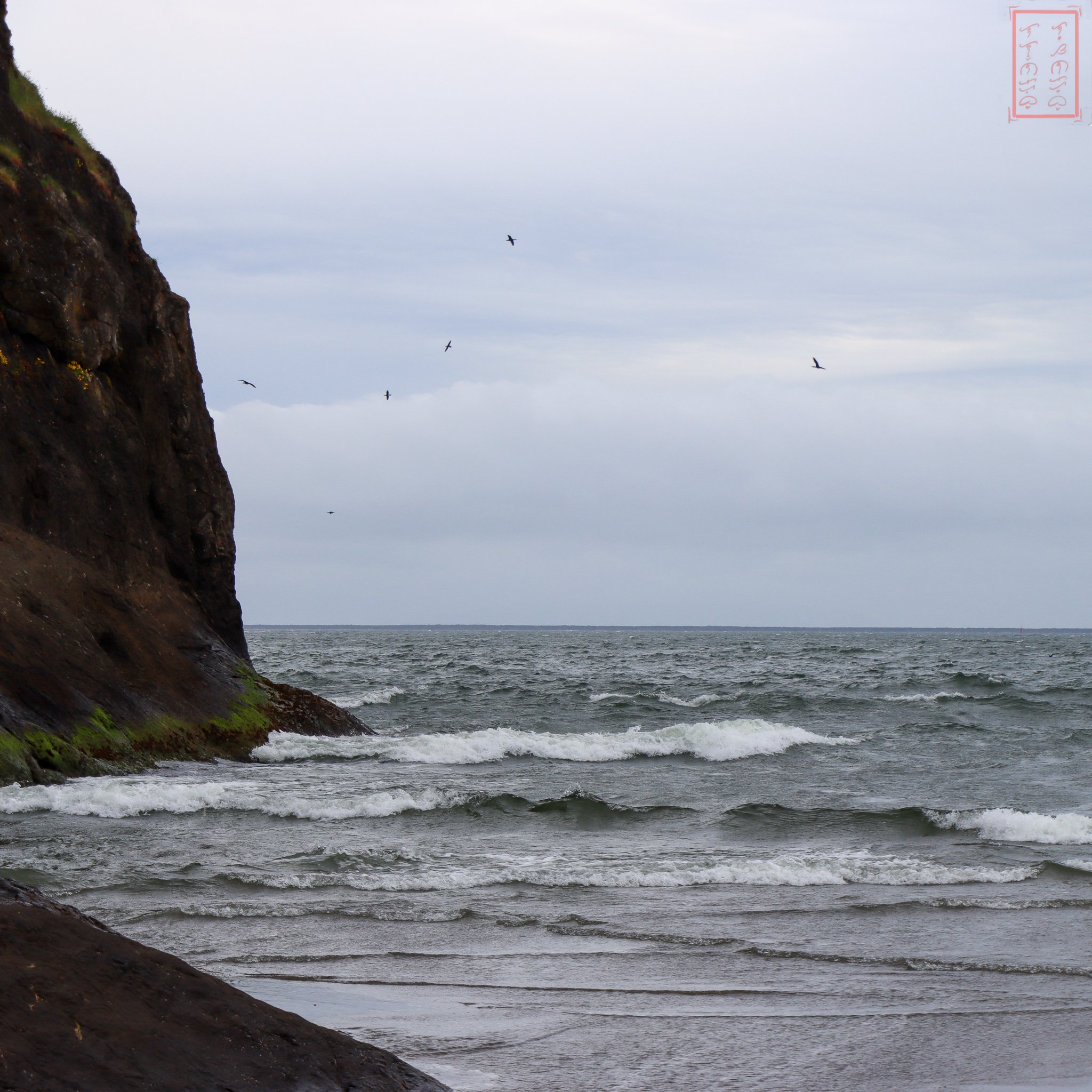 WA: Cape Disappointment