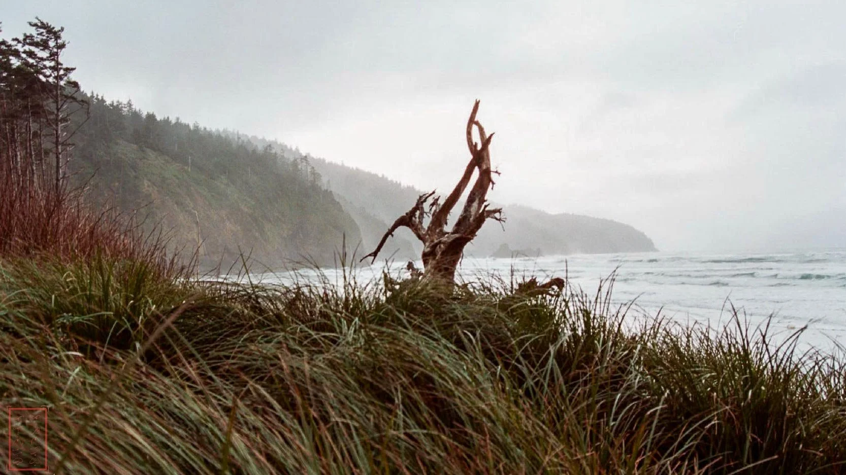 OR: Cape Lookout