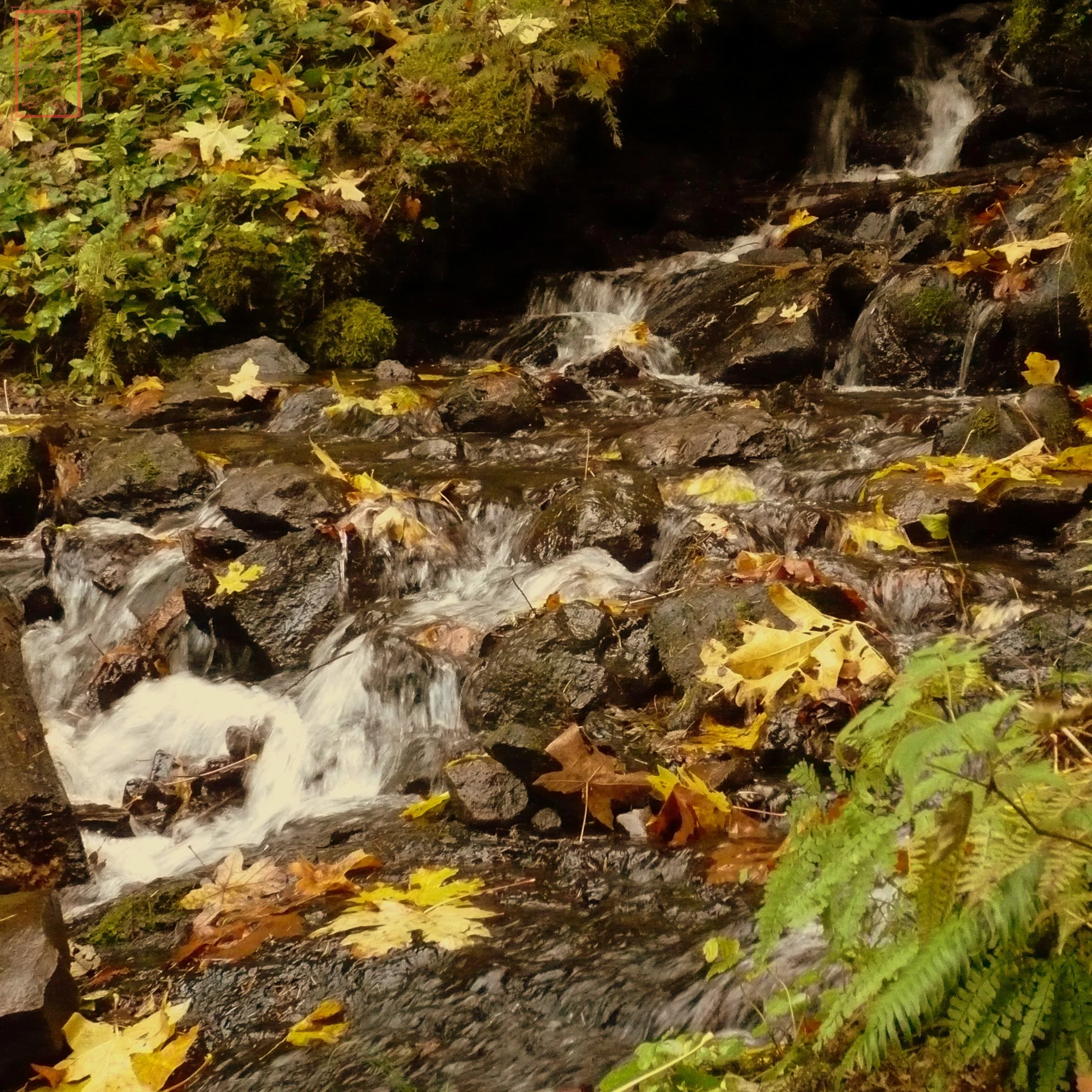 OR: Wahkeena Falls to Multnomah Falls