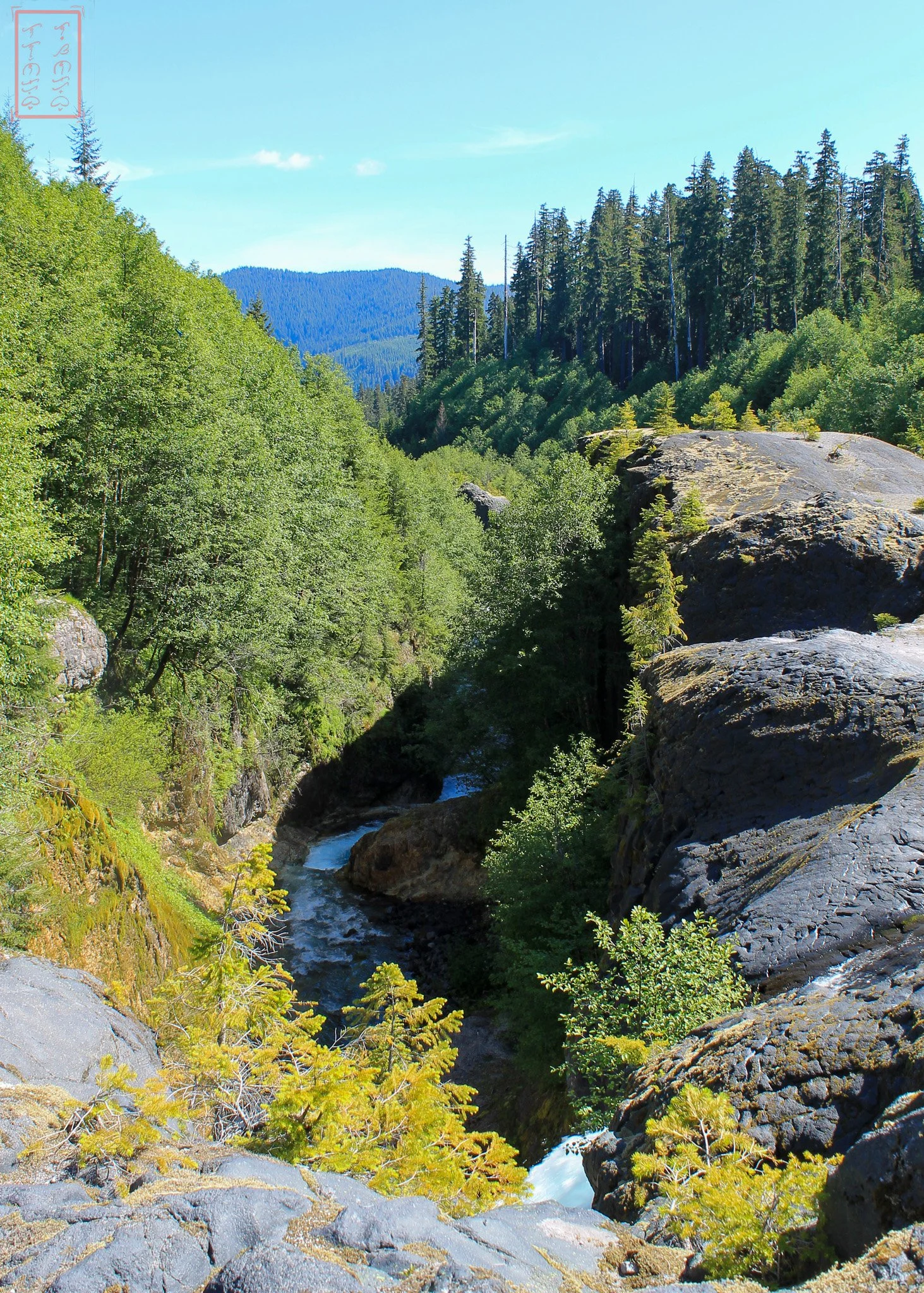 WA: Lava Canyon
