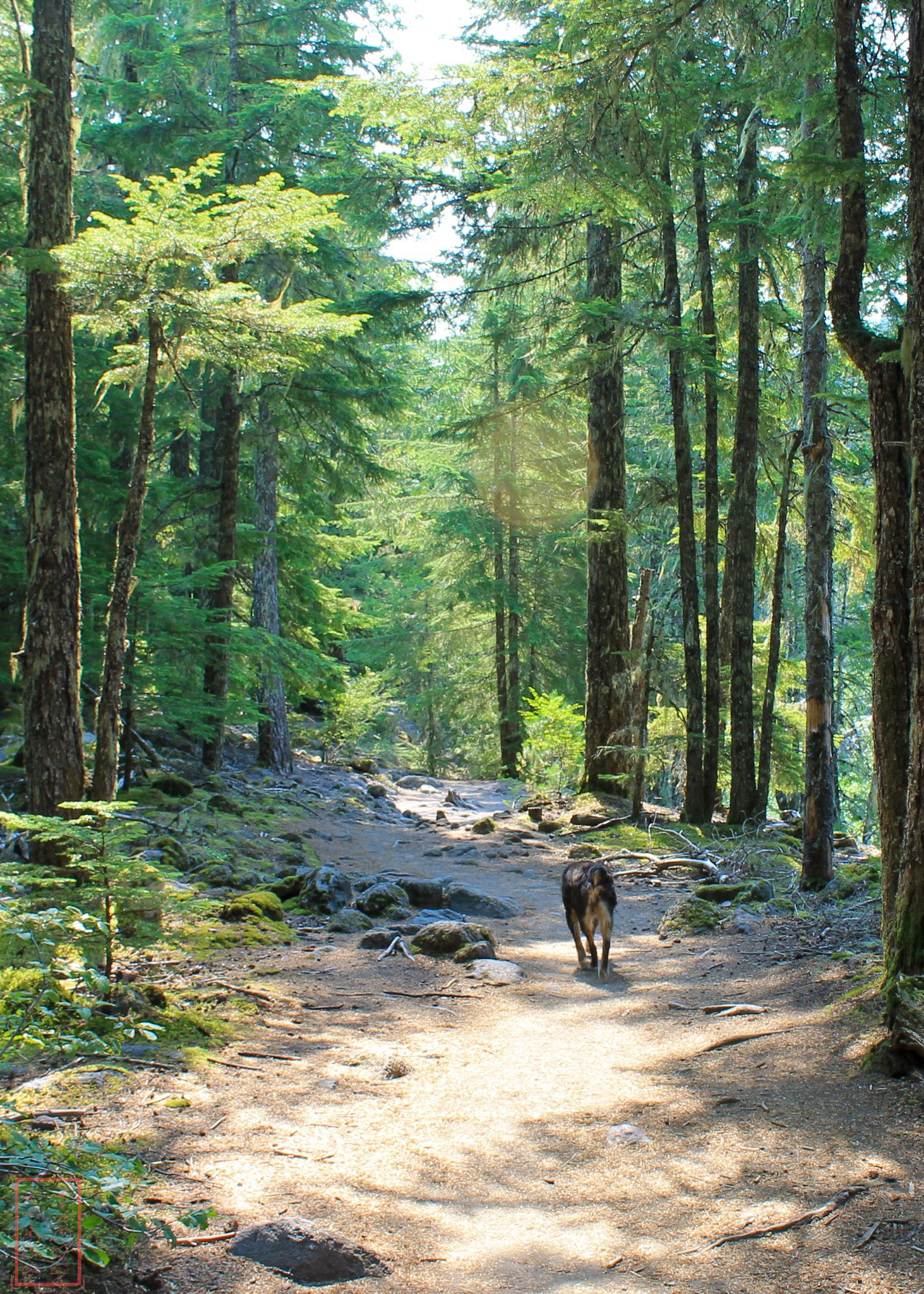 OR: Ramona Falls