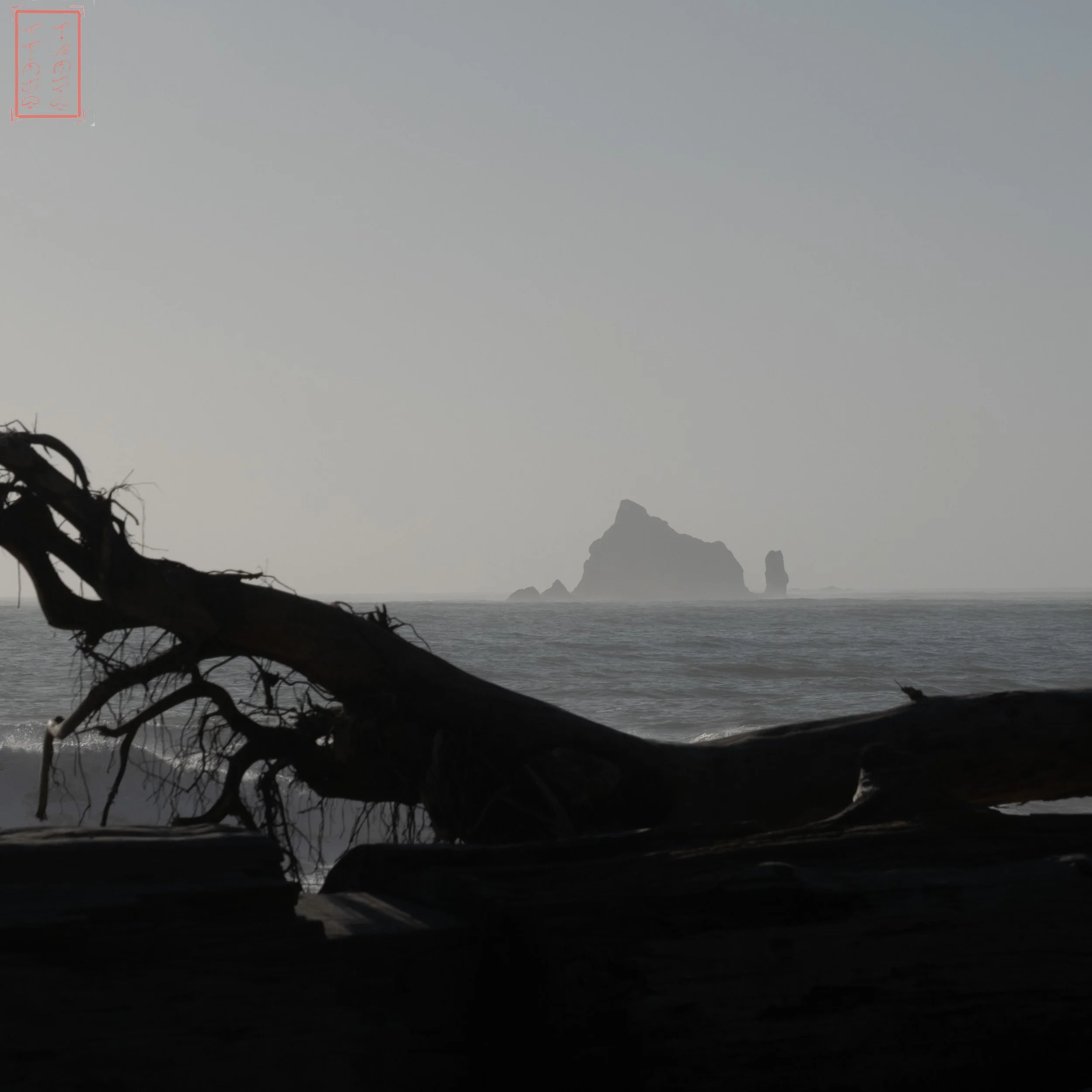 WA: Rialto Beach