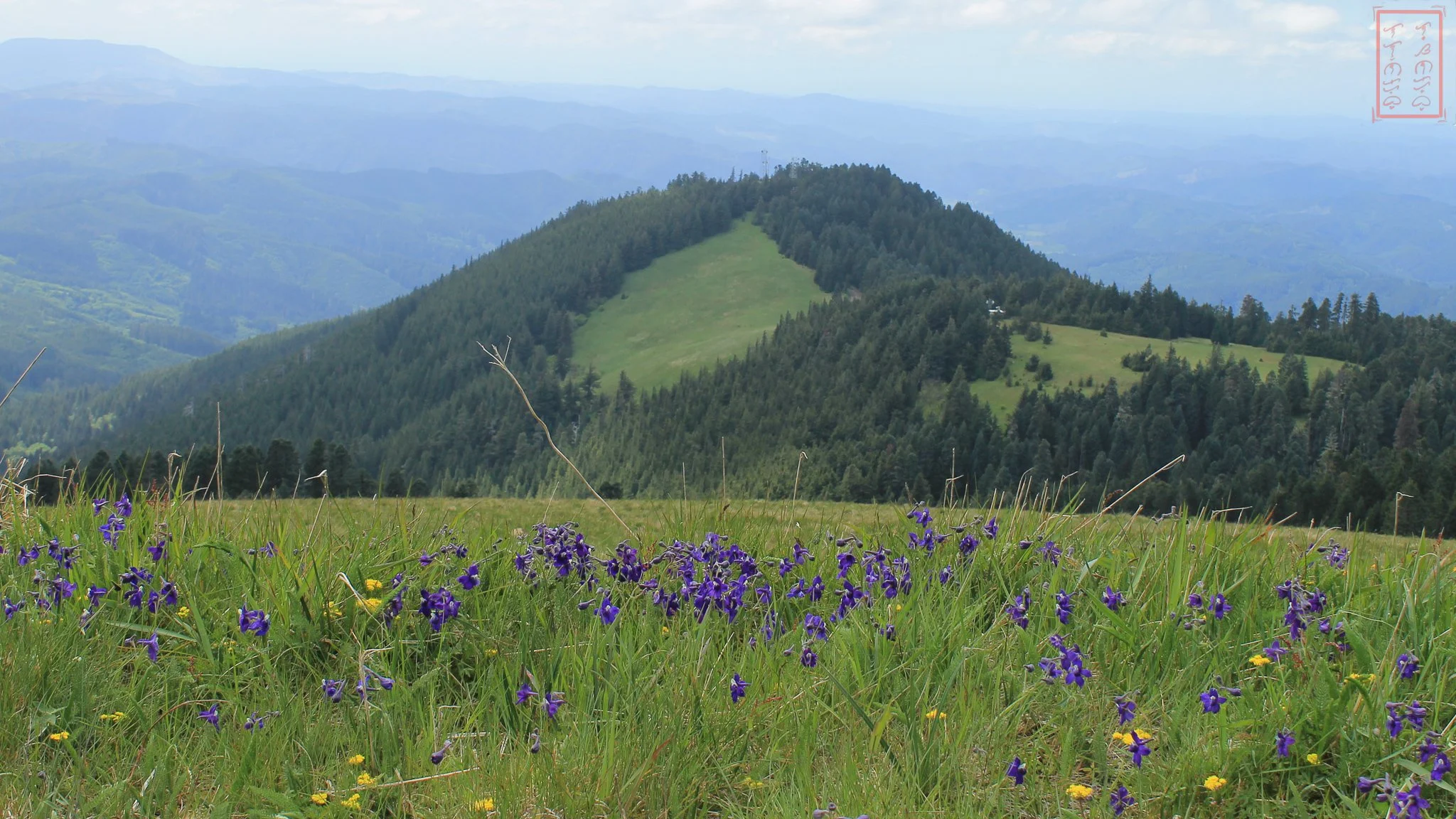 OR: Mary's Peak
