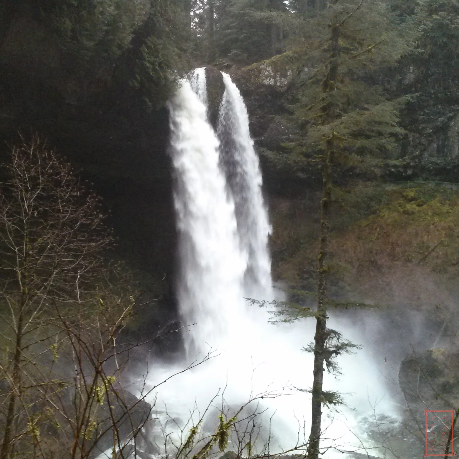 OR: Silver Falls