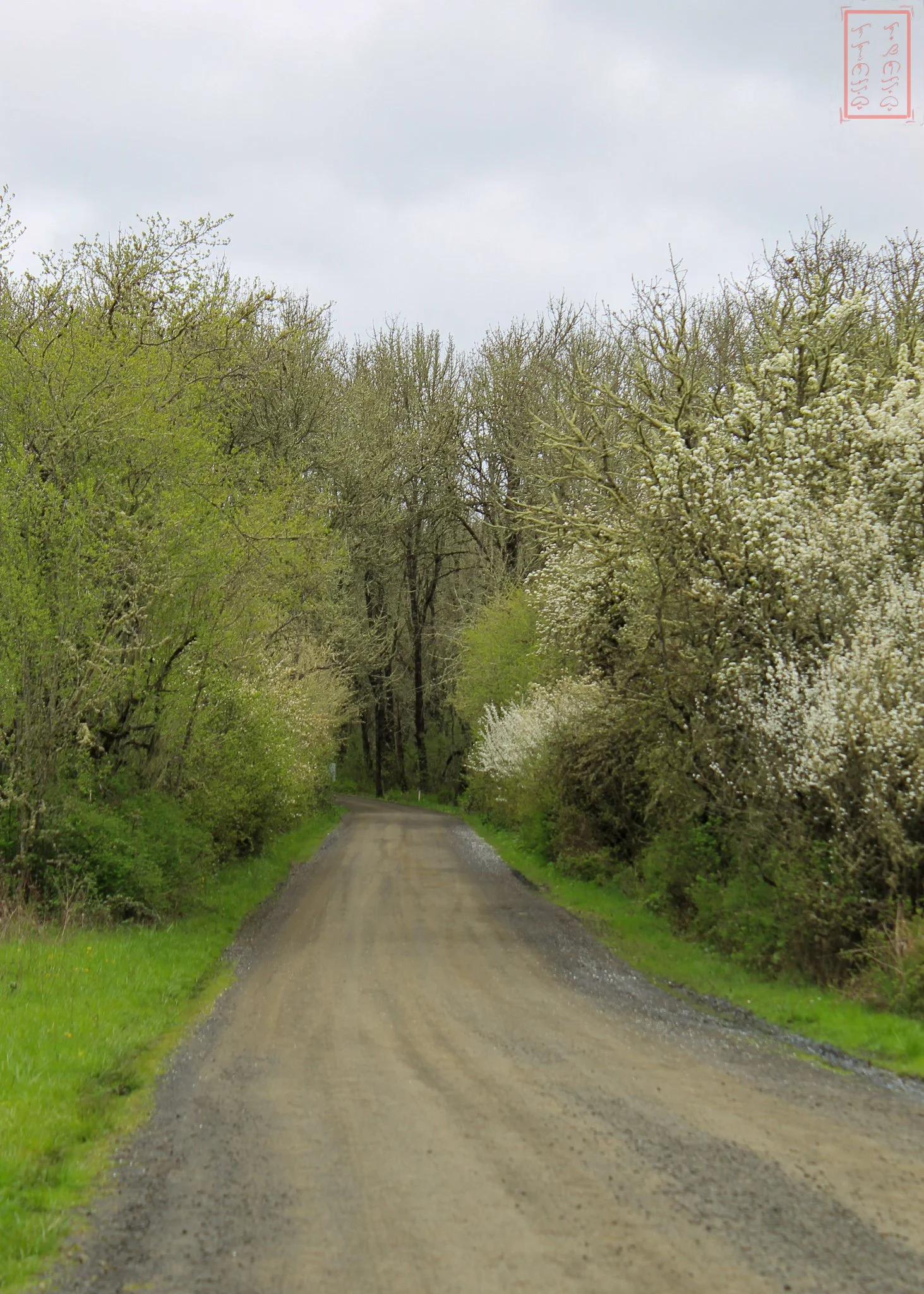 OR: William L. Finley National Wildlife Refuge
