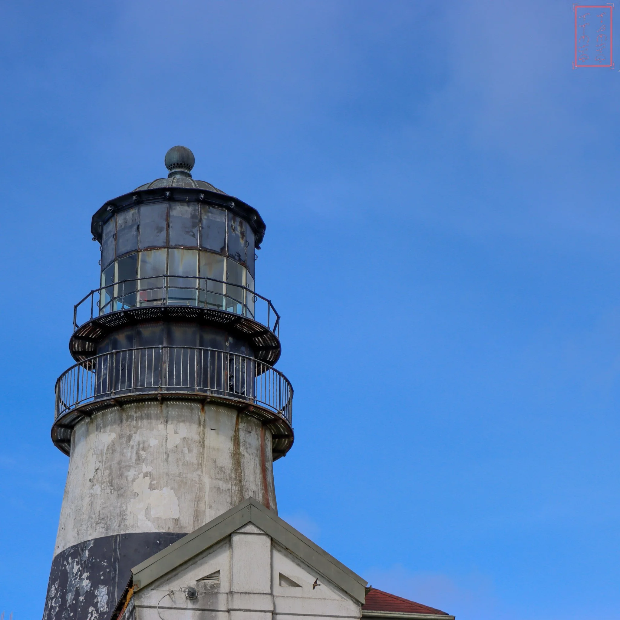 WA: Cape Disappointment